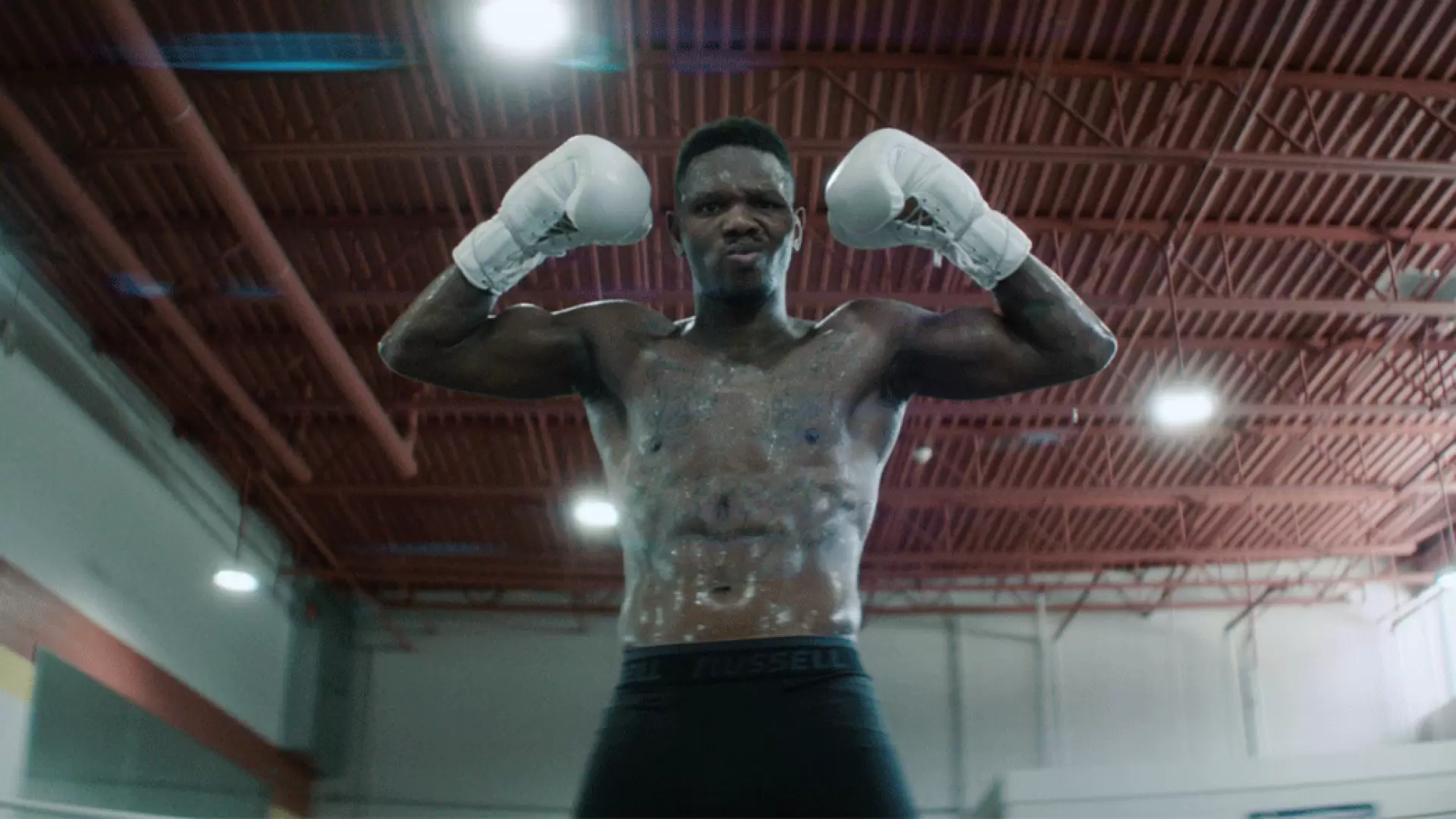 دانلود مستند They Fight 2018