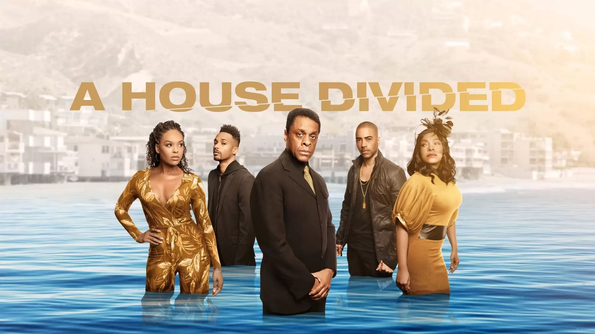 دانلود سریال A House Divided 2019
