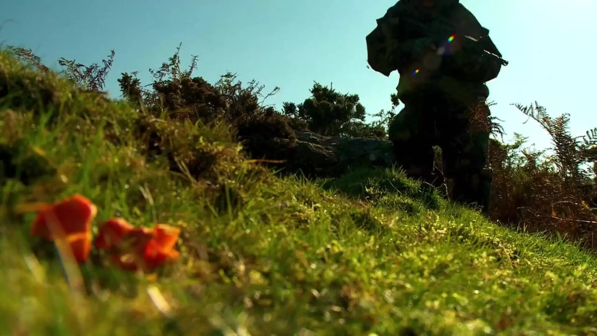 دانلود فیلم Stag Hunt 2015
