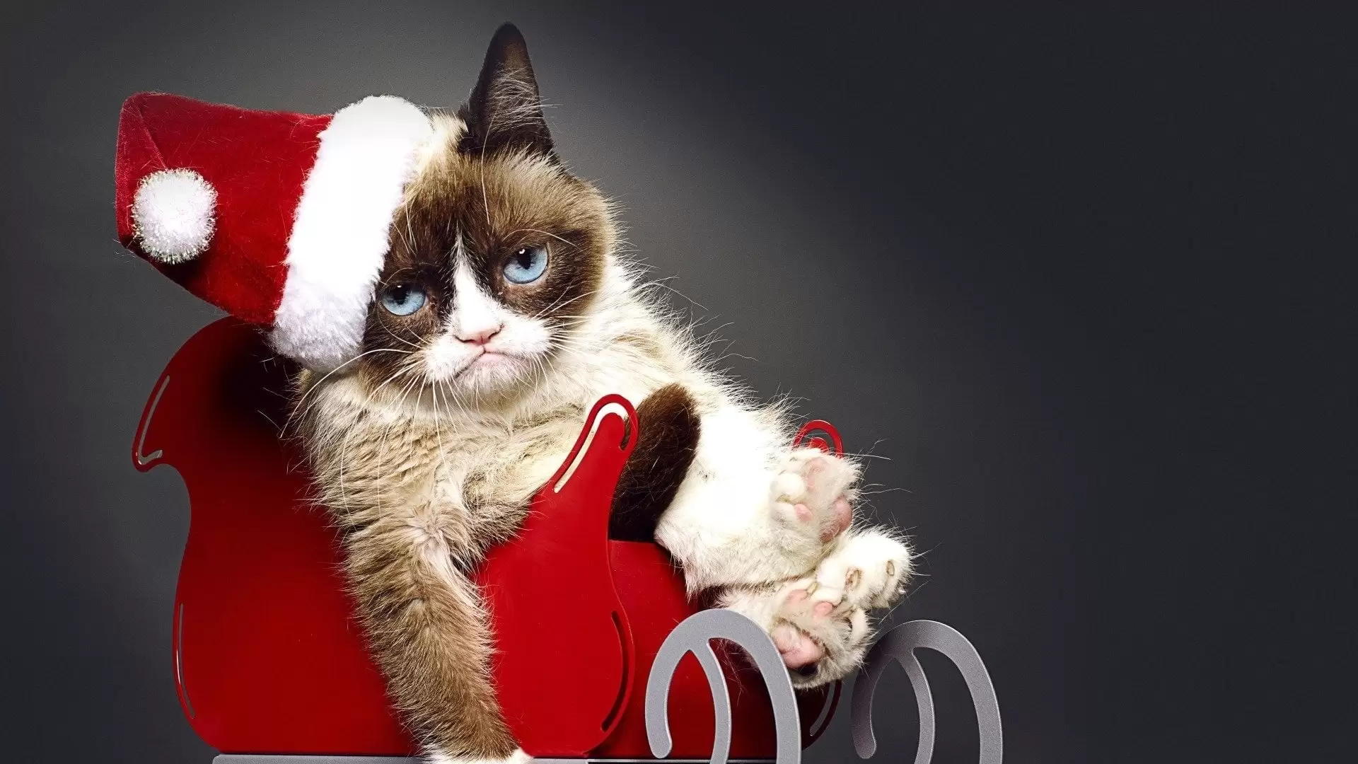 دانلود فیلم Grumpy Cat’s Worst Christmas Ever 2014