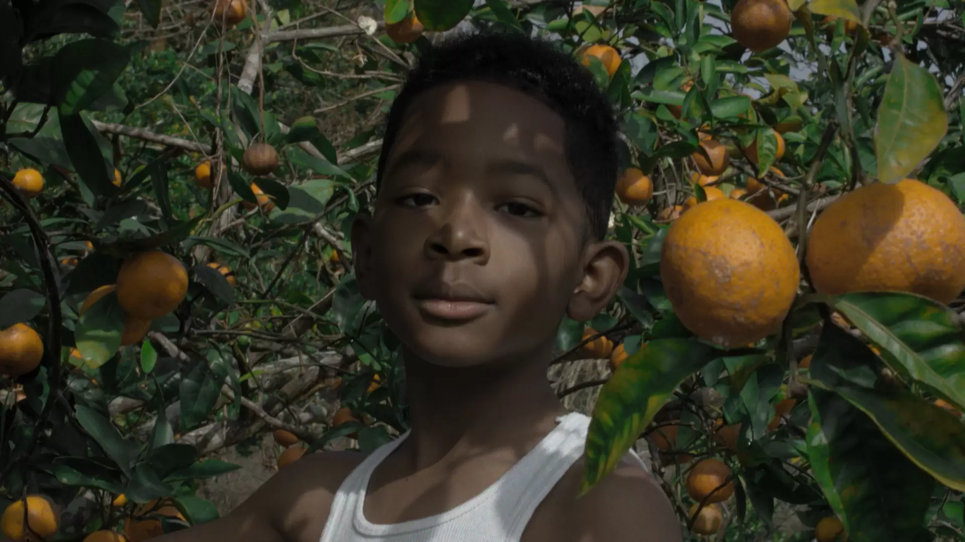 دانلود فیلم Burning Cane 2019