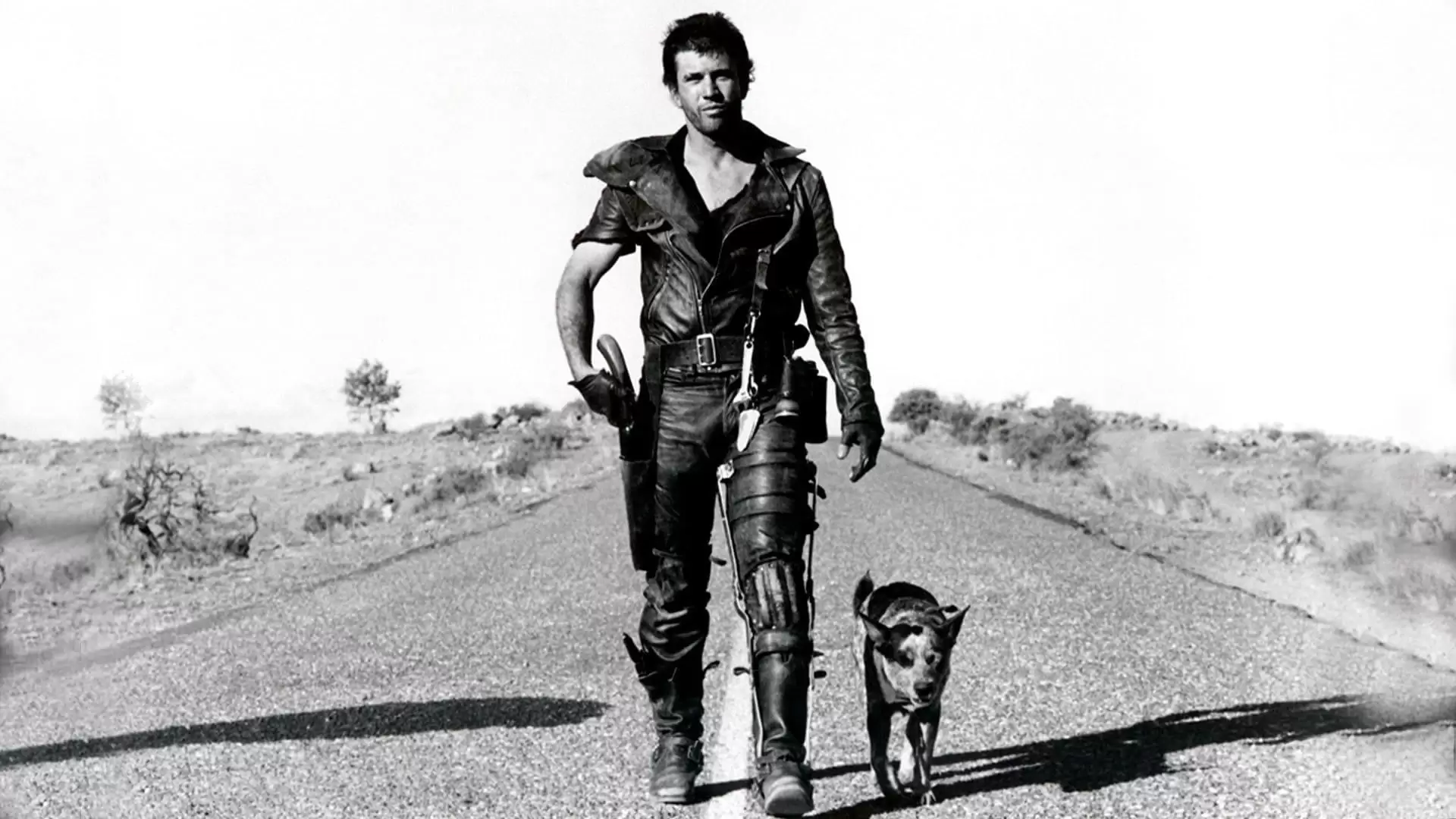 دانلود فیلم Mad Max 1979 (مکس دیوانه ۱) با زیرنویس فارسی و تماشای آنلاین