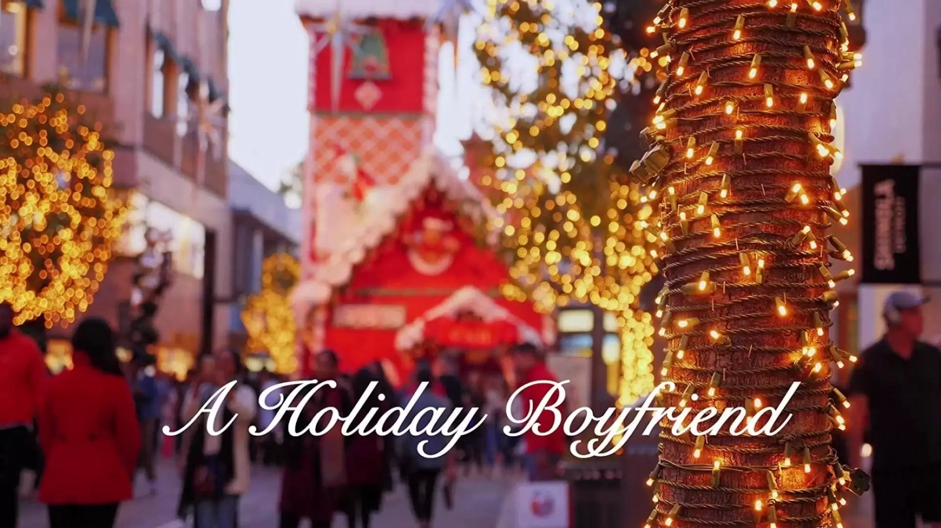 دانلود فیلم A Holiday Boyfriend 2019
