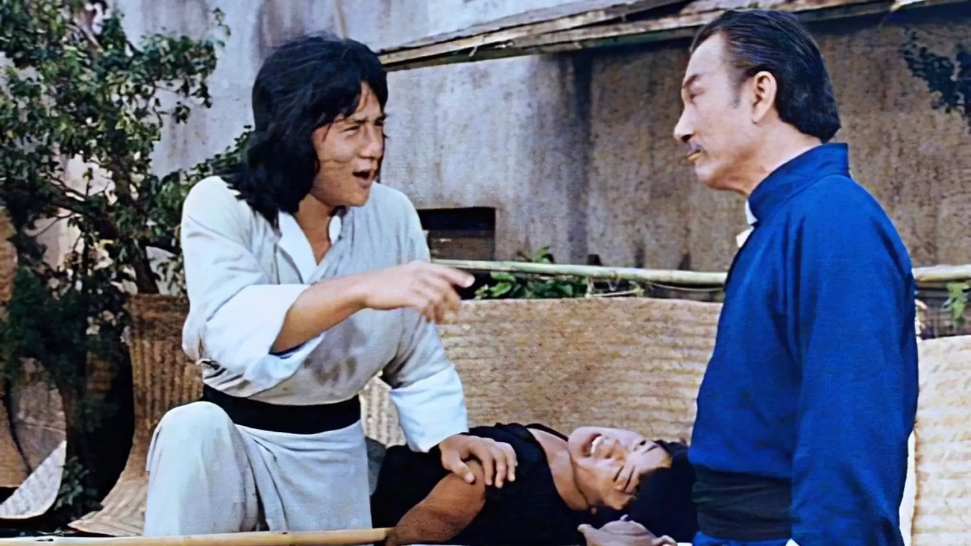 دانلود فیلم The Young Master 1980 (استاد جوان) با زیرنویس فارسی