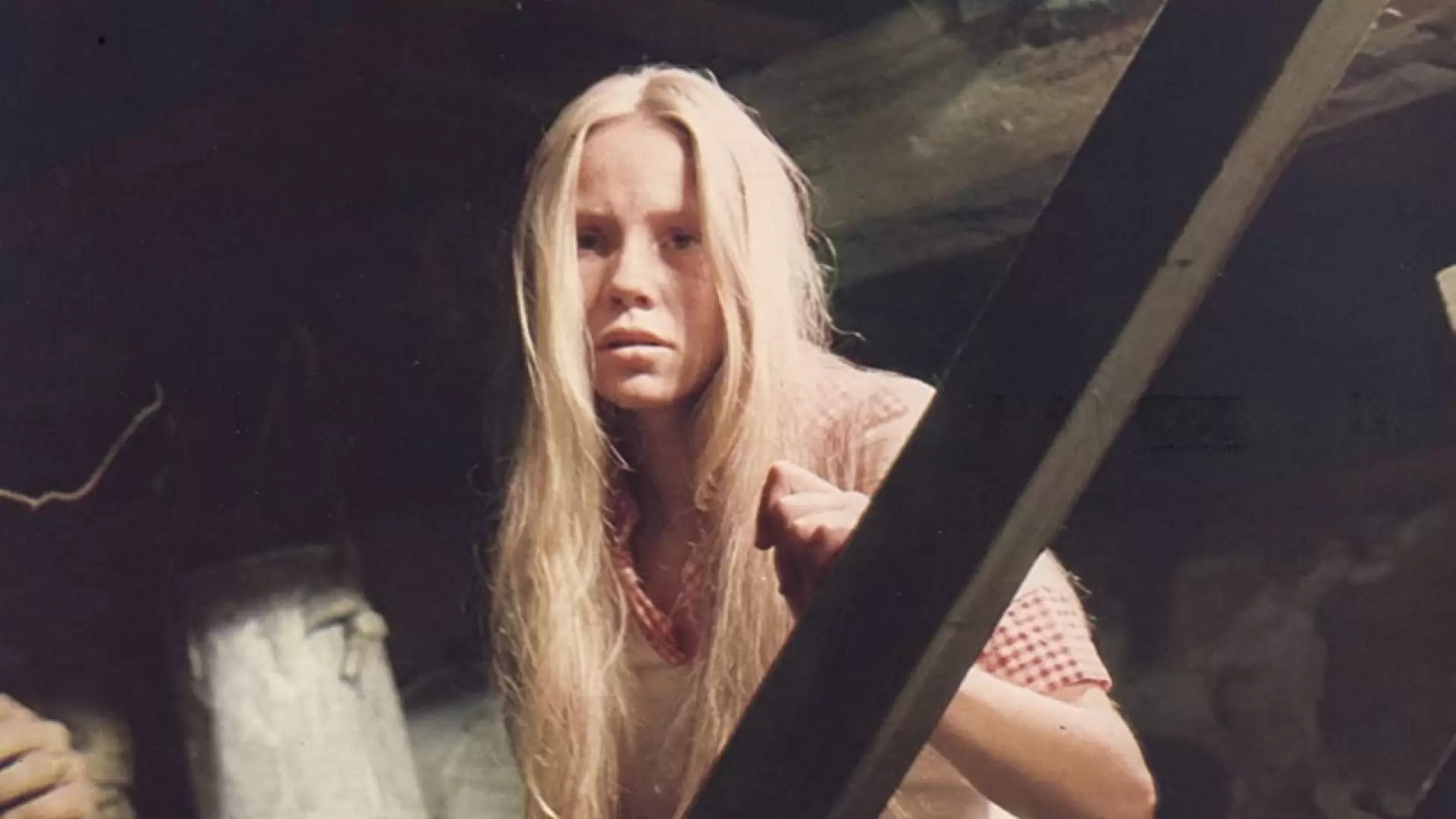 دانلود فیلم Sunday in the Country 1974