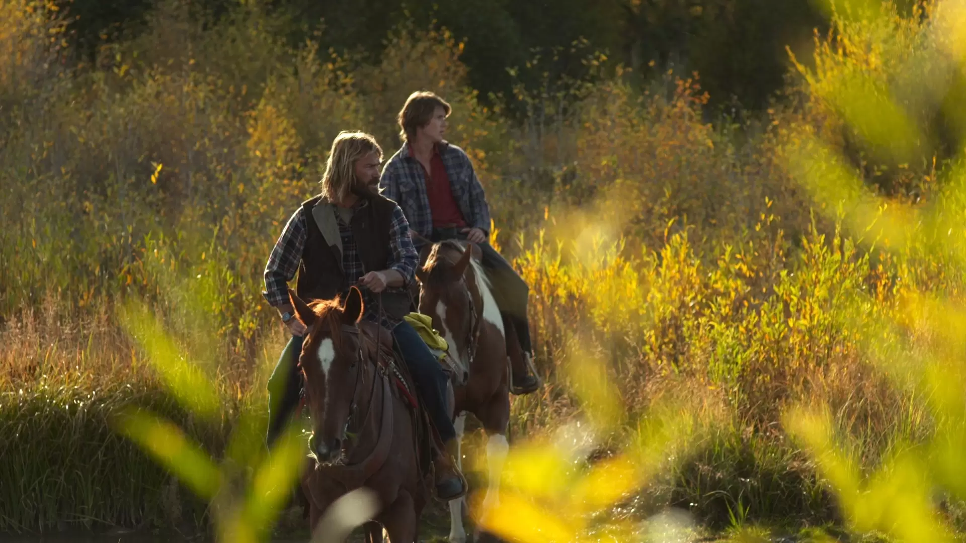 دانلود فیلم Druid Peak 2014
