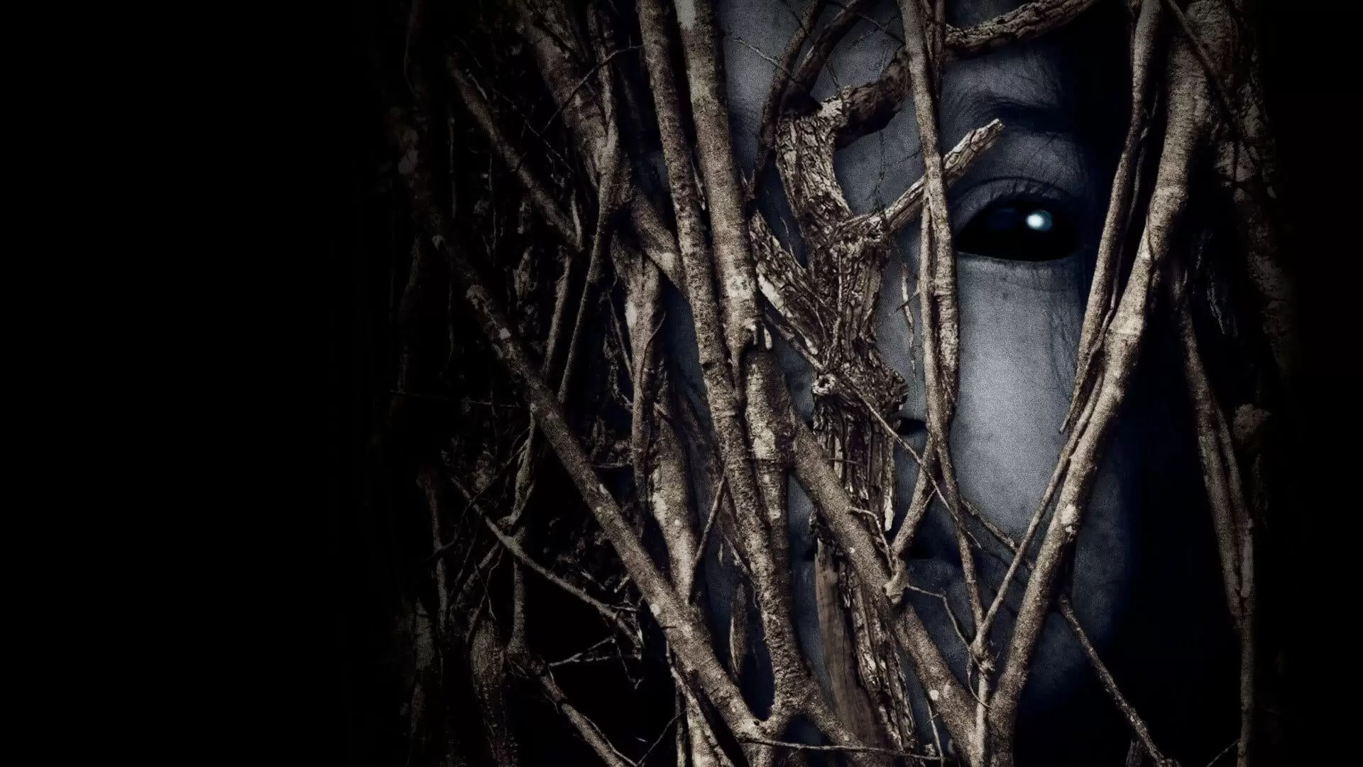 دانلود فیلم Behind the Trees 2019