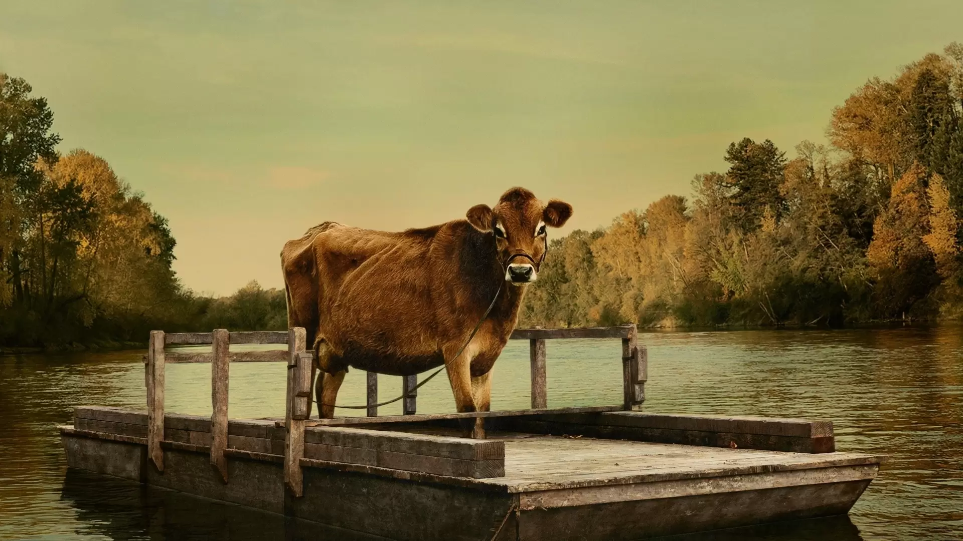 دانلود فیلم First Cow 2019 (گاو اول) با زیرنویس فارسی و تماشای آنلاین