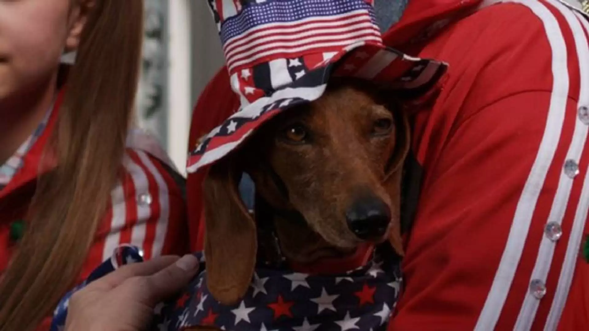 دانلود فیلم Wiener Dog Internationals 2015