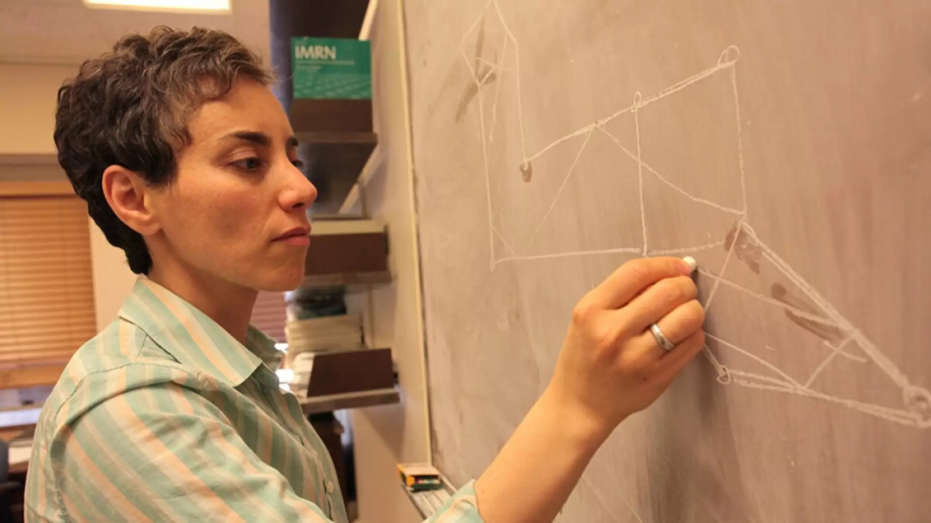 دانلود مستند Secrets of the Surface: The Mathematical Vision of Maryam Mirzakhani 2020 با زیرنویس فارسی و تماشای آنلاین