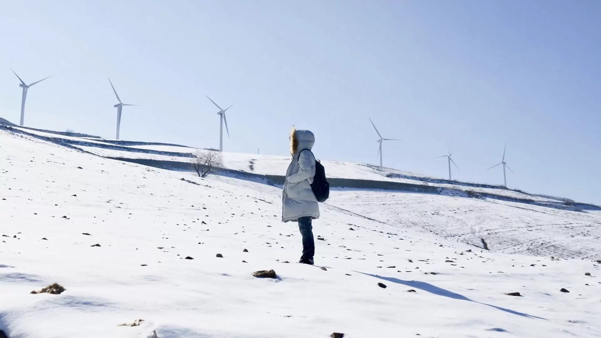 دانلود فیلم The Hill of Wind 2019