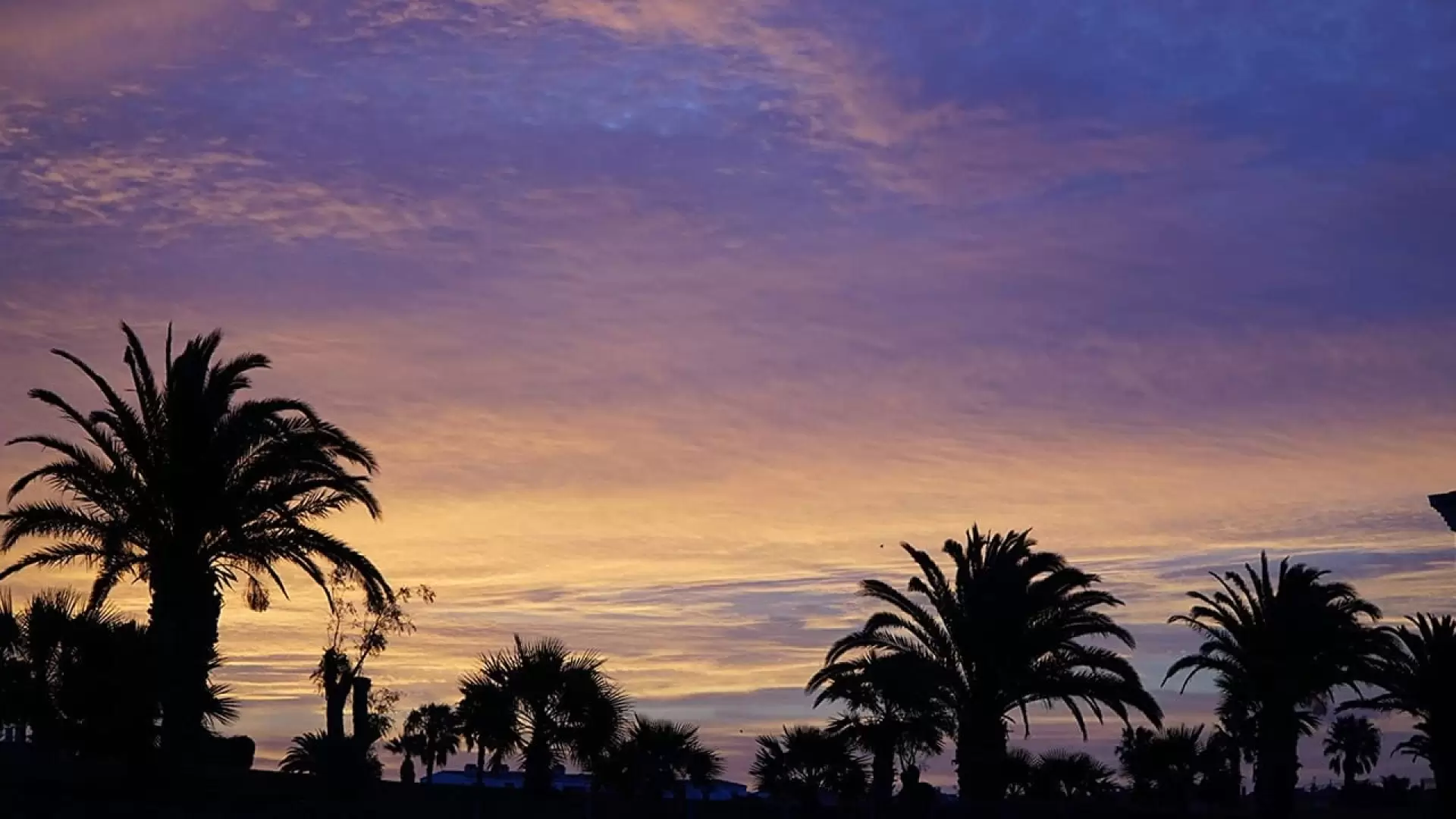 دانلود فیلم One Glorious Sunset 2020 (یک غروب پر افتخار)