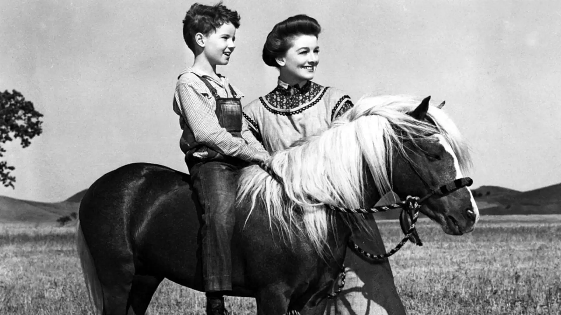 دانلود فیلم The Red Pony 1949 (اسب قرمز)