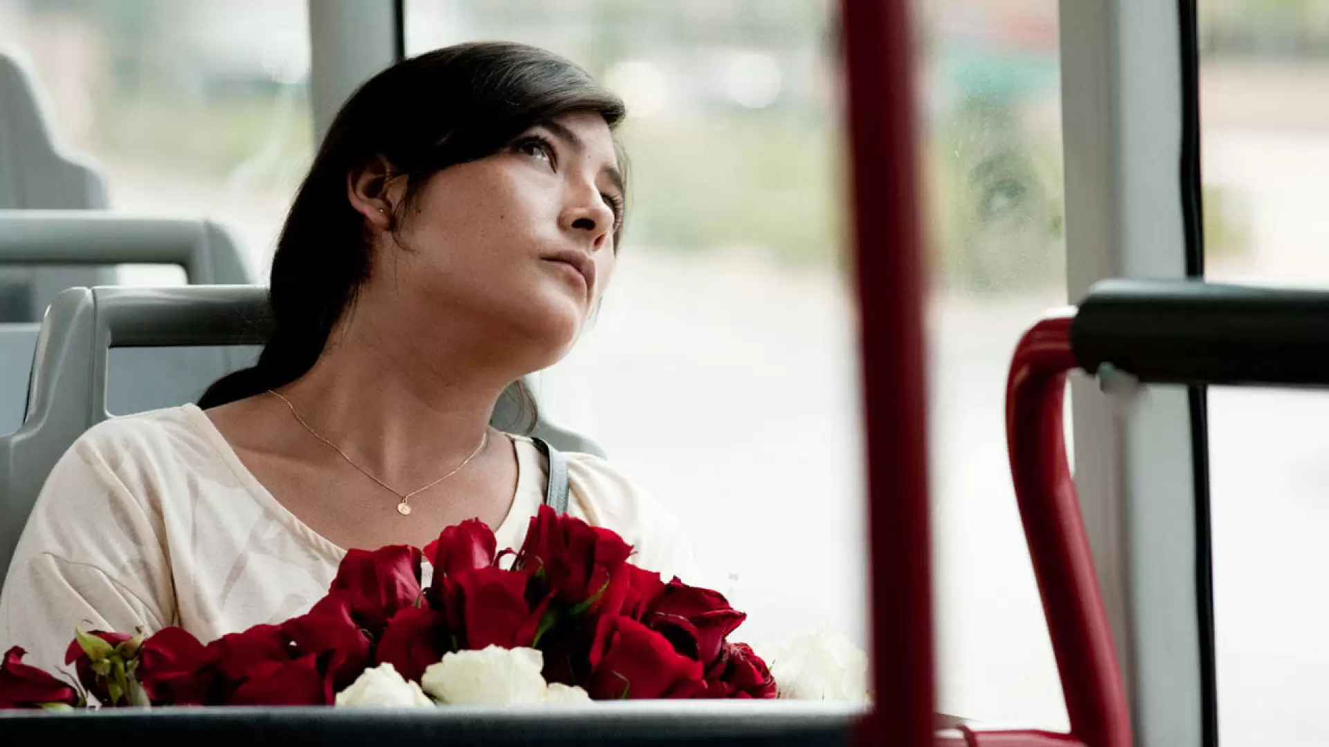 دانلود فیلم Amador 2010 (آمادور)