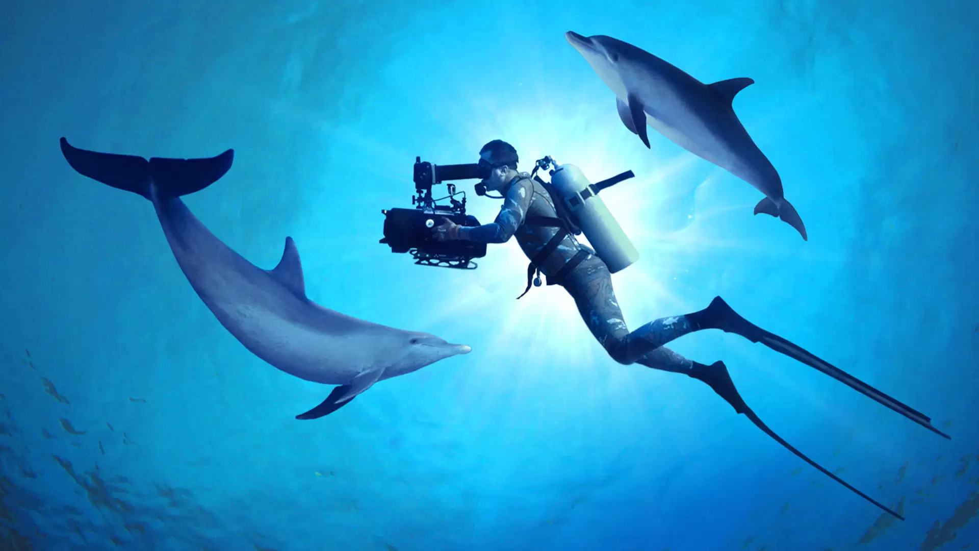 دانلود مستند Diving with Dolphins 2020 (غواصی با دلفین ها)