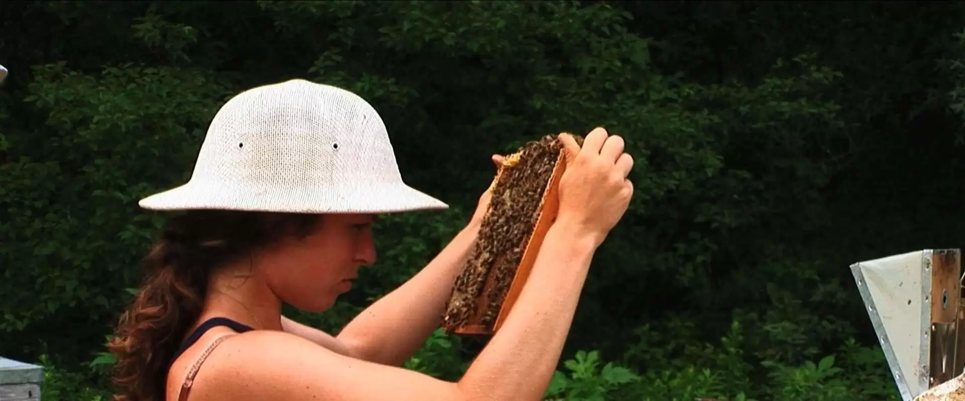 دانلود مستند Vanishing of the Bees 2009 (از بین رفتن زنبورها)