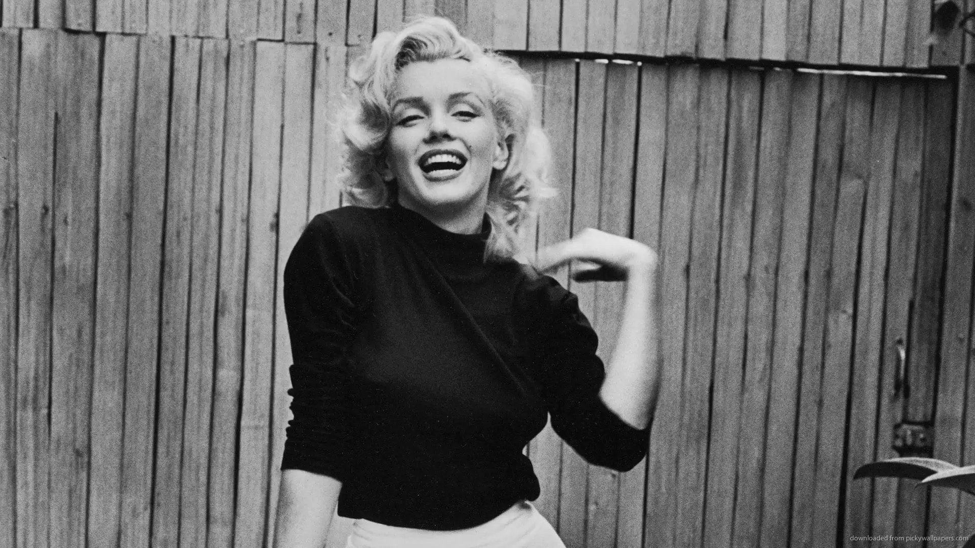 دانلود مستند We Remember Marilyn 1996 (ما مرلین را به خاطر داریم)