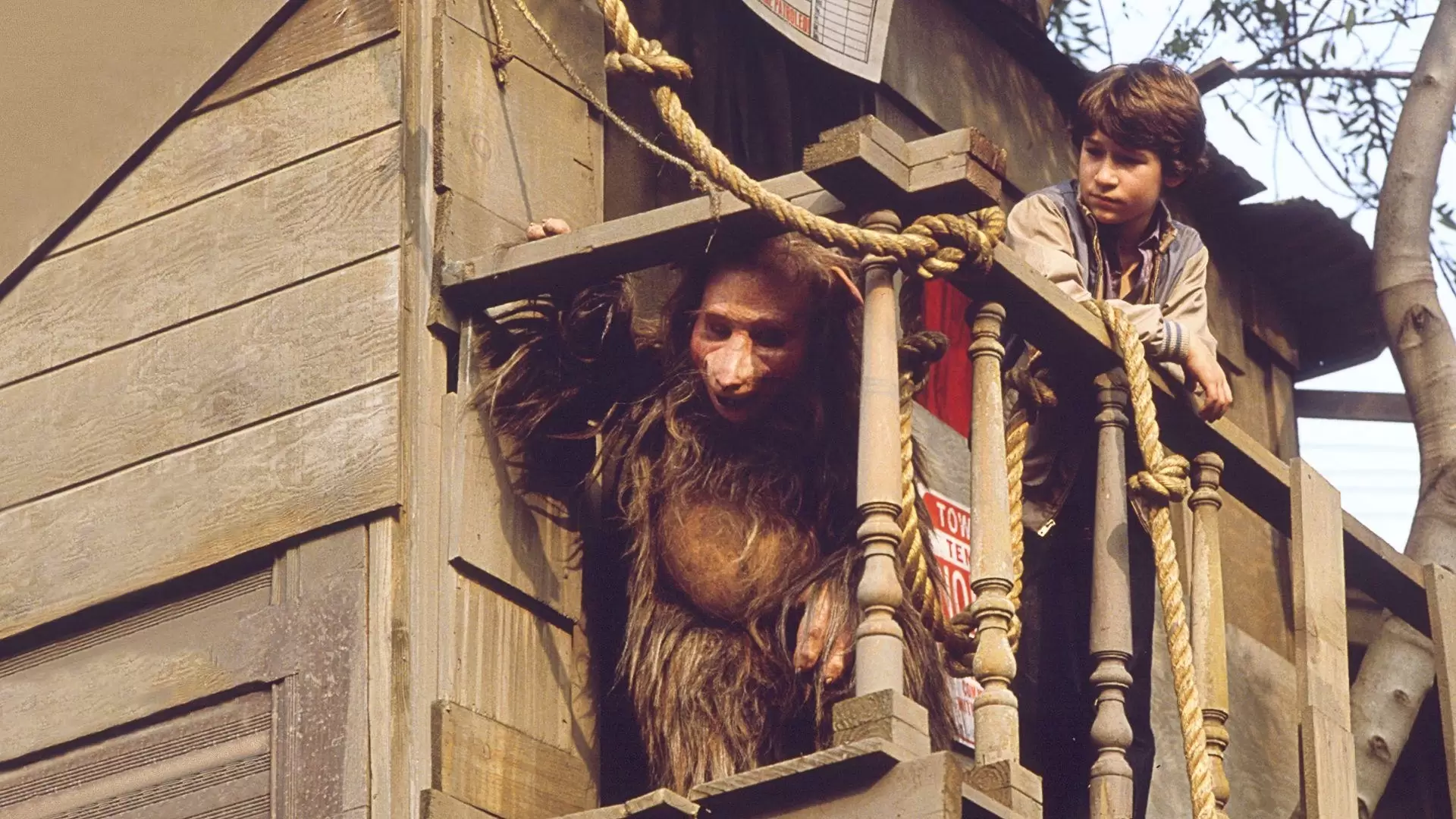 دانلود فیلم Fuzzbucket 1986