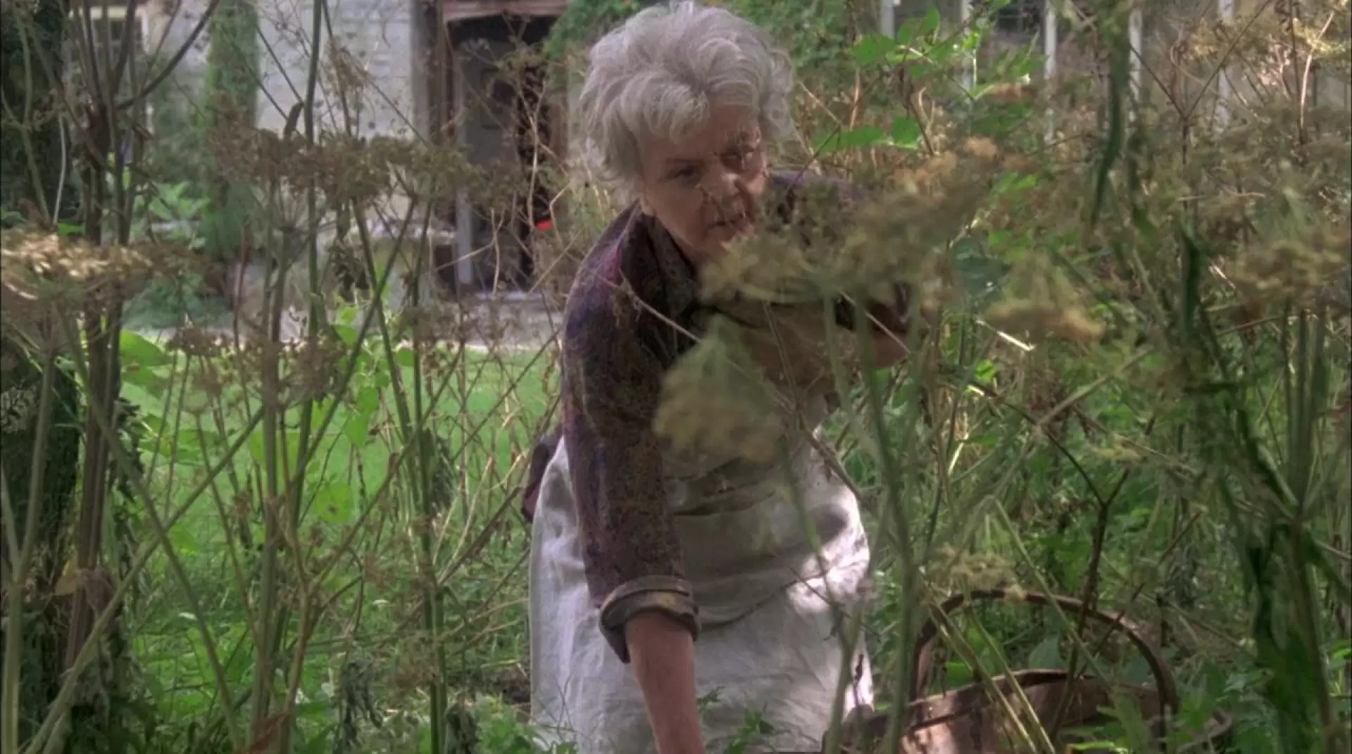 دانلود فیلم The Shell Seekers 1989 (جویندگان پوسته)