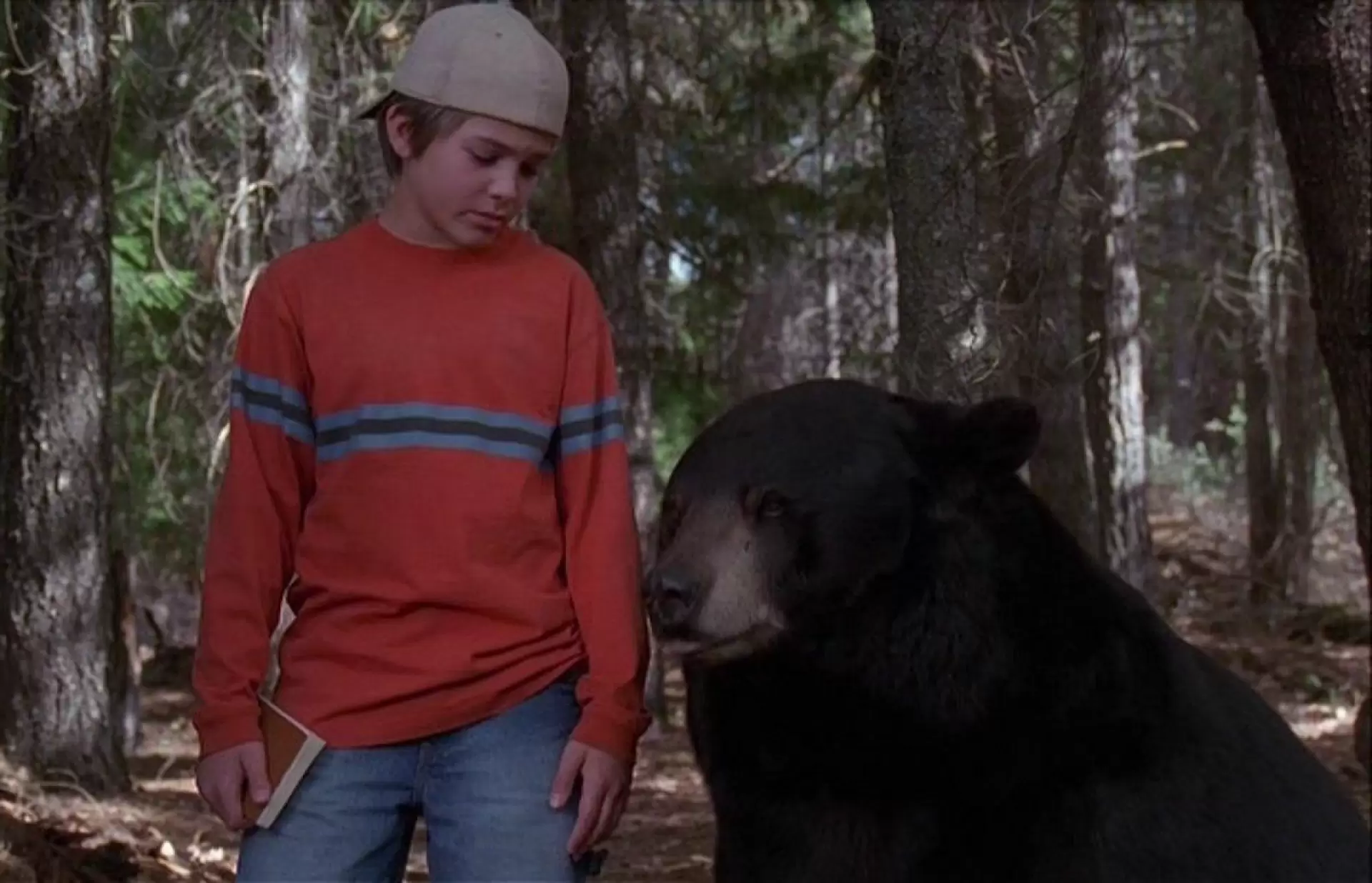 دانلود فیلم Gentle Ben 2002