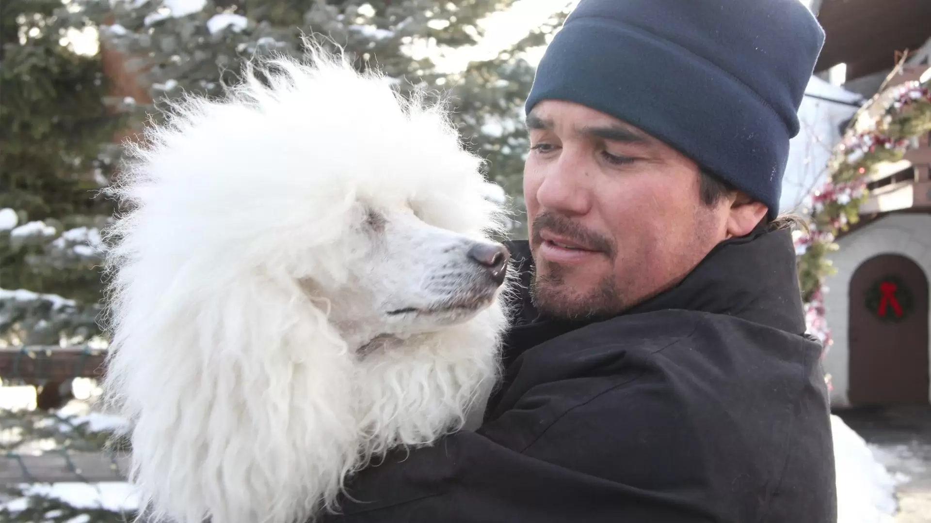 دانلود فیلم The Dog Who Saved Christmas Vacation 2010