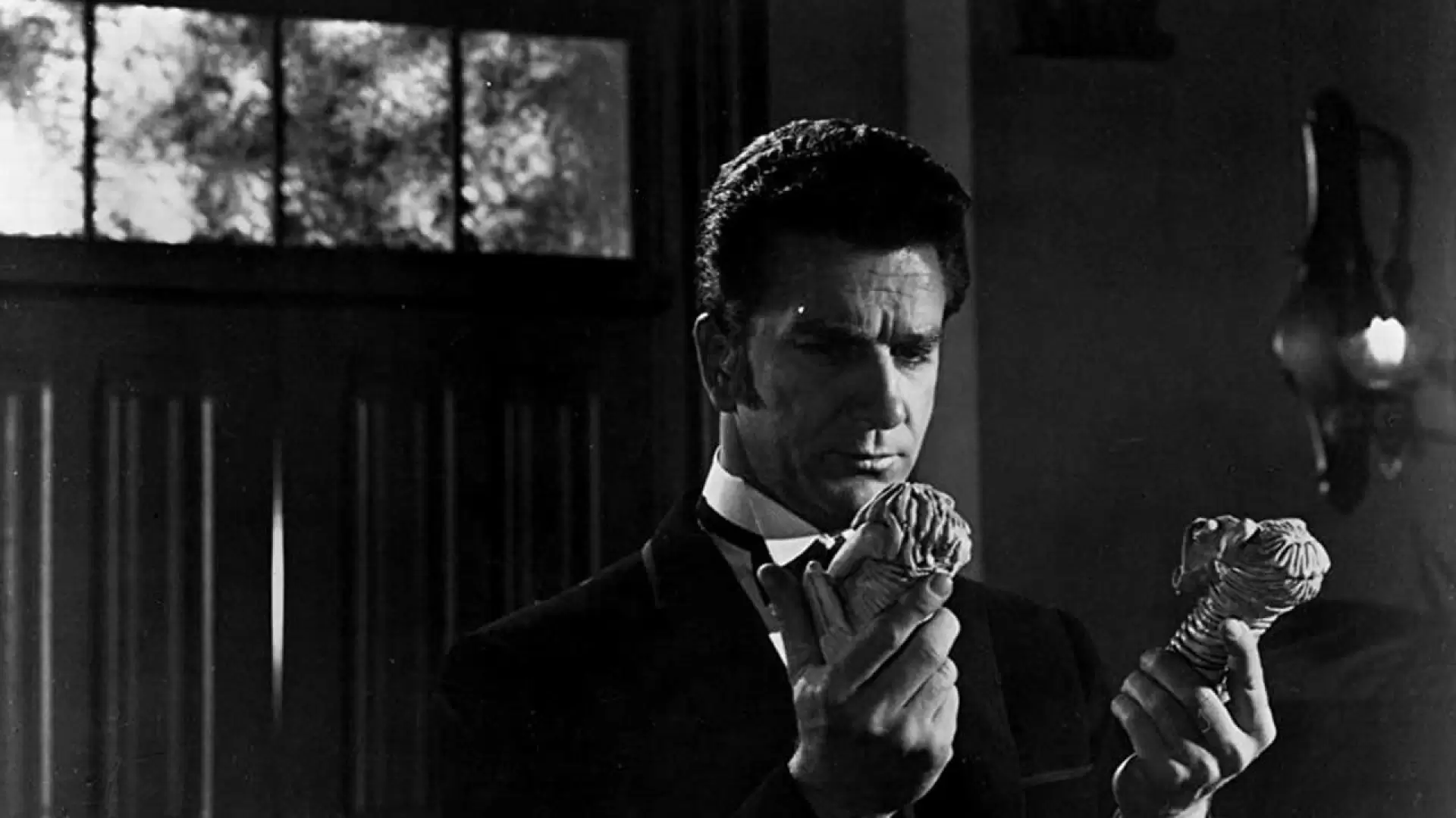 دانلود فیلم Dark Intruder 1965 (مزاحم تاریکی)