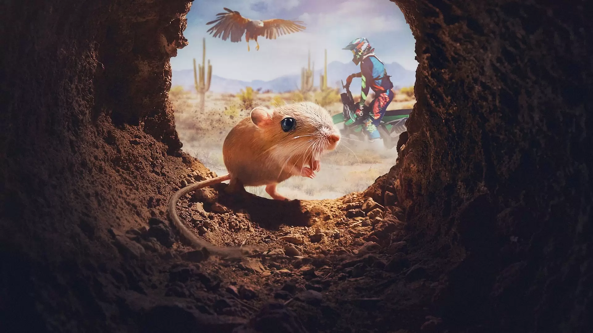 دانلود مستند Tiny Creatures 2020 (موجودات ریز)