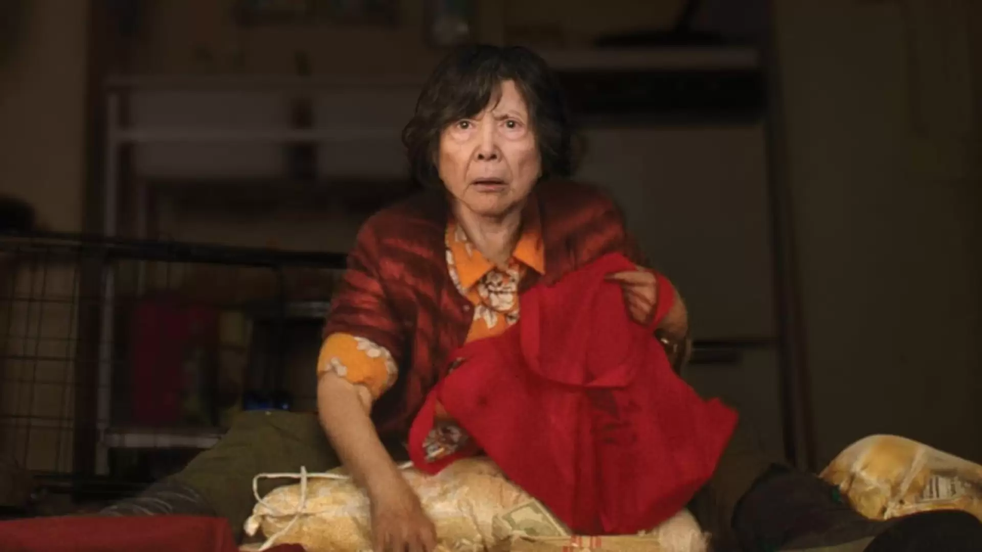 دانلود فیلم Lucky Grandma 2019 (مادربزرگ خوش شانس) با زیرنویس فارسی و تماشای آنلاین