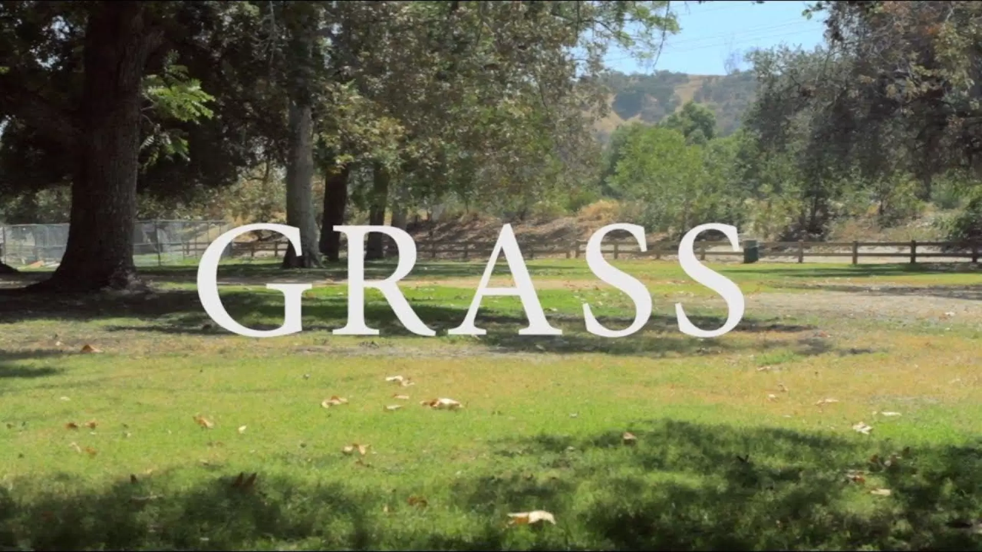 دانلود فیلم Grass 2017