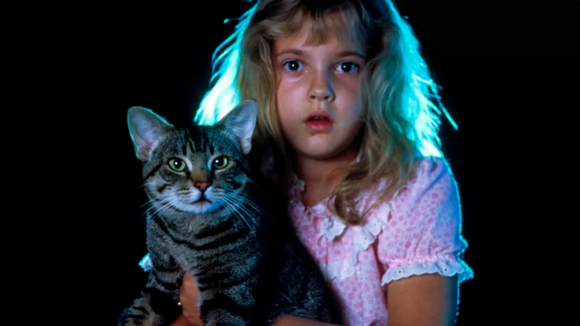 دانلود فیلم Cat’s Eye 1985 (چشم گربه) با زیرنویس فارسی