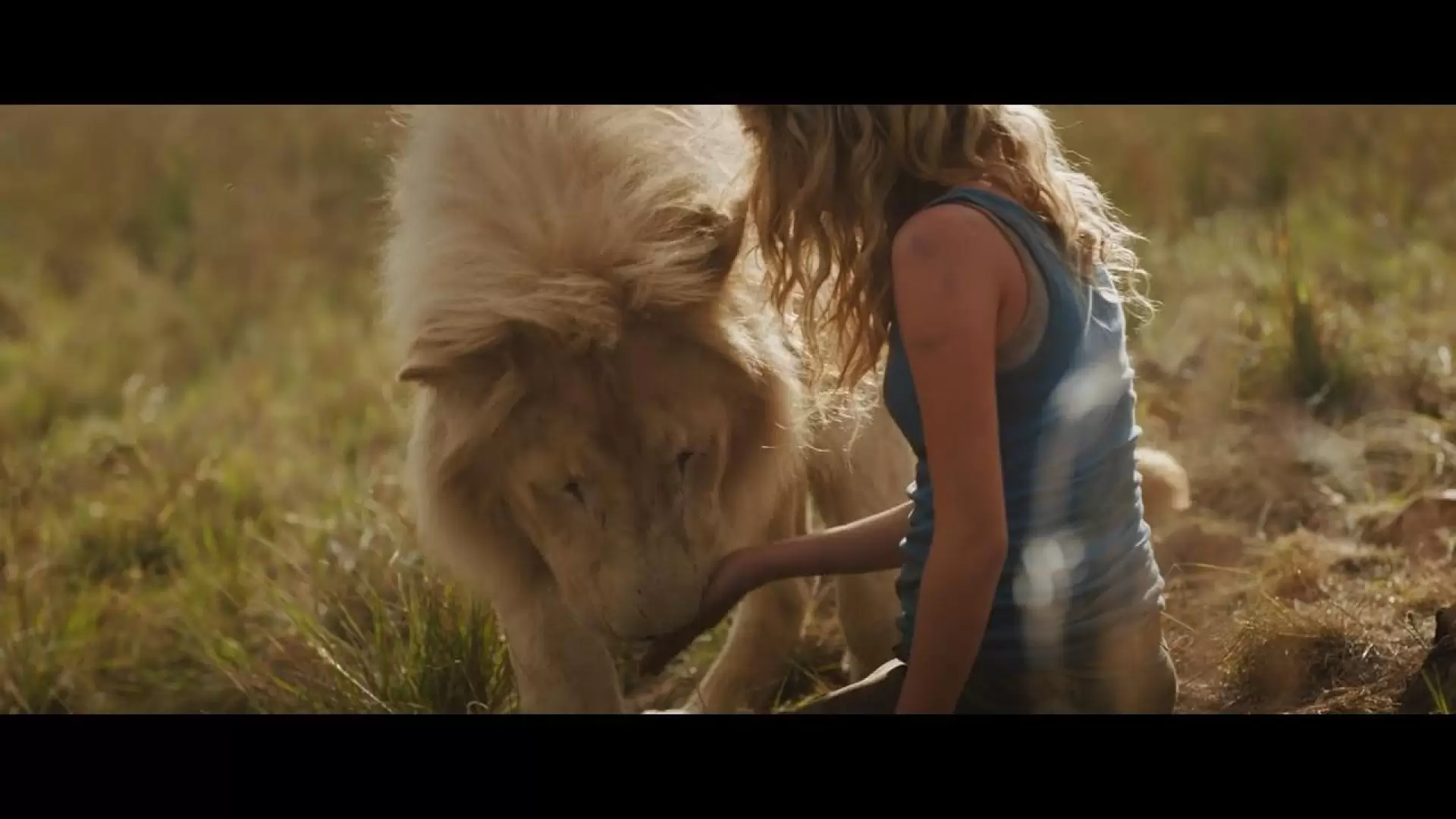 دانلود فیلم The Lion 2018