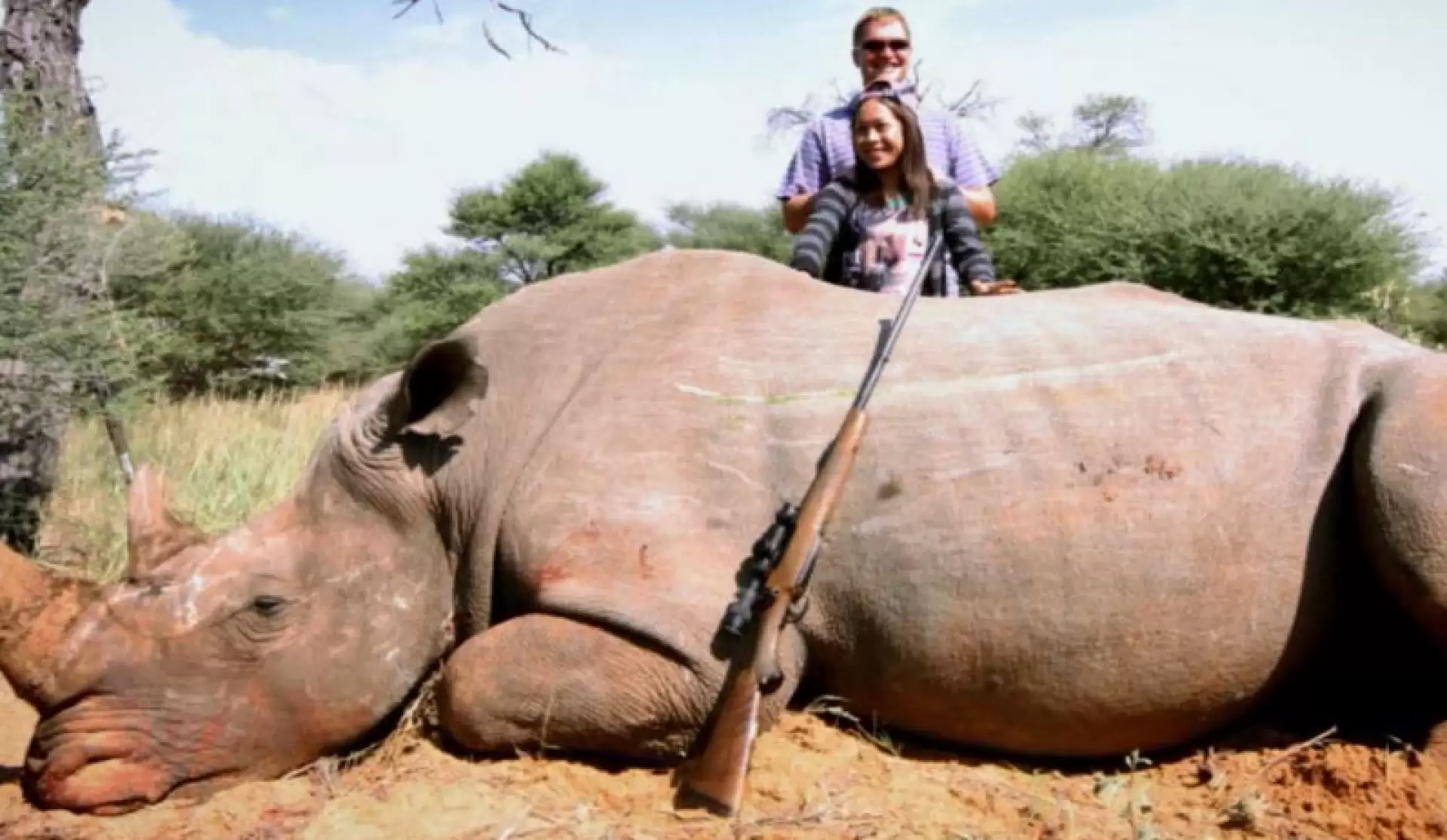 دانلود مستند Gambling on Extinction 2015