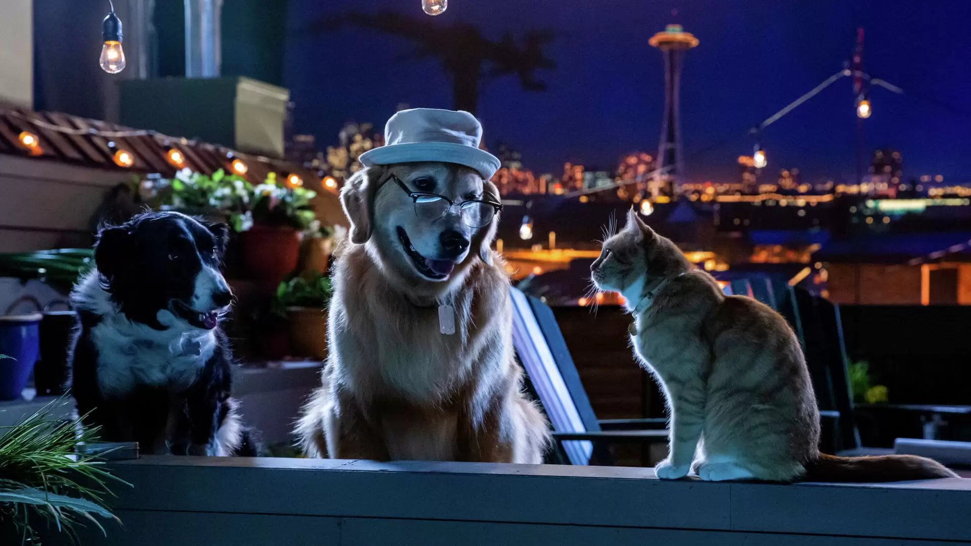 دانلود انیمیشن Cats & Dogs 3: Paws Unite 2020 (گربه ها و سگها ۳: پنجه ها متحد می شوند)