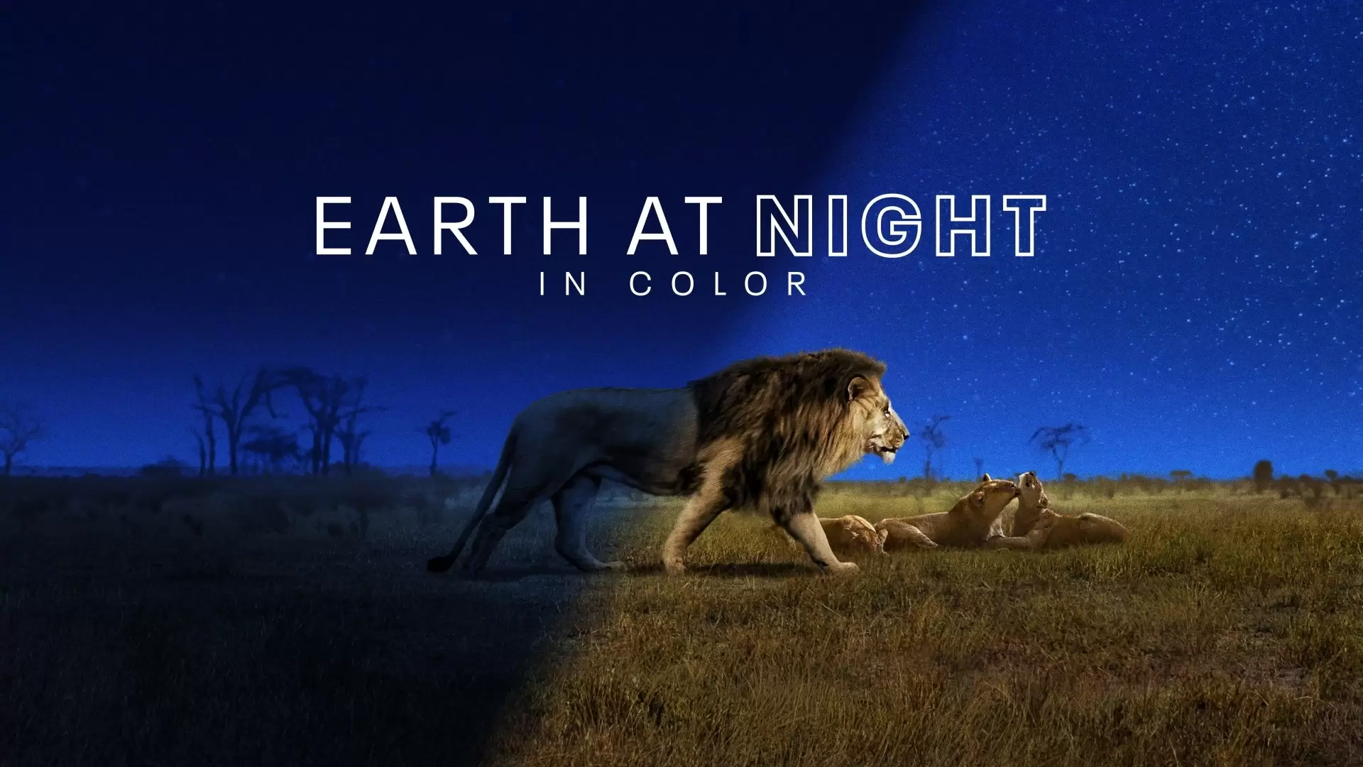 دانلود مستند Earth at Night in Color 2020 با زیرنویس فارسی و تماشای آنلاین