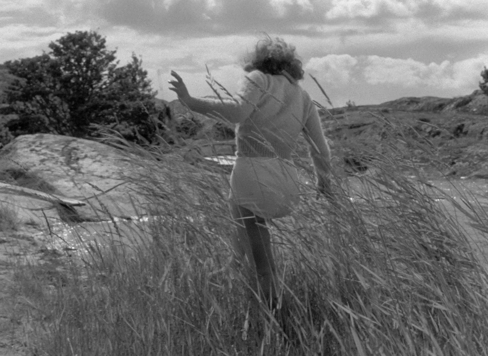 دانلود فیلم The Wayward Girl 1959