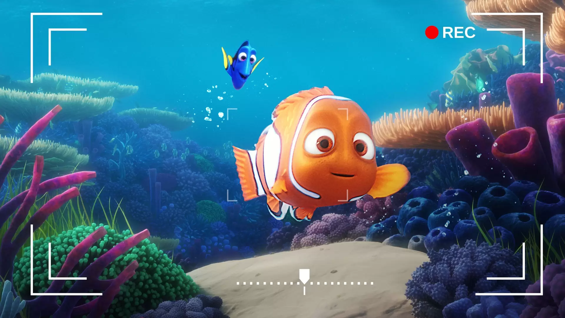 دانلود انیمیشن Dory’s Reef Cam 2020