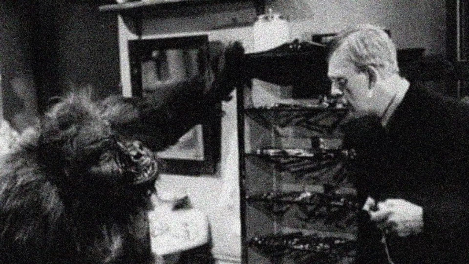 دانلود فیلم The Ape 1940 (بوزینه)