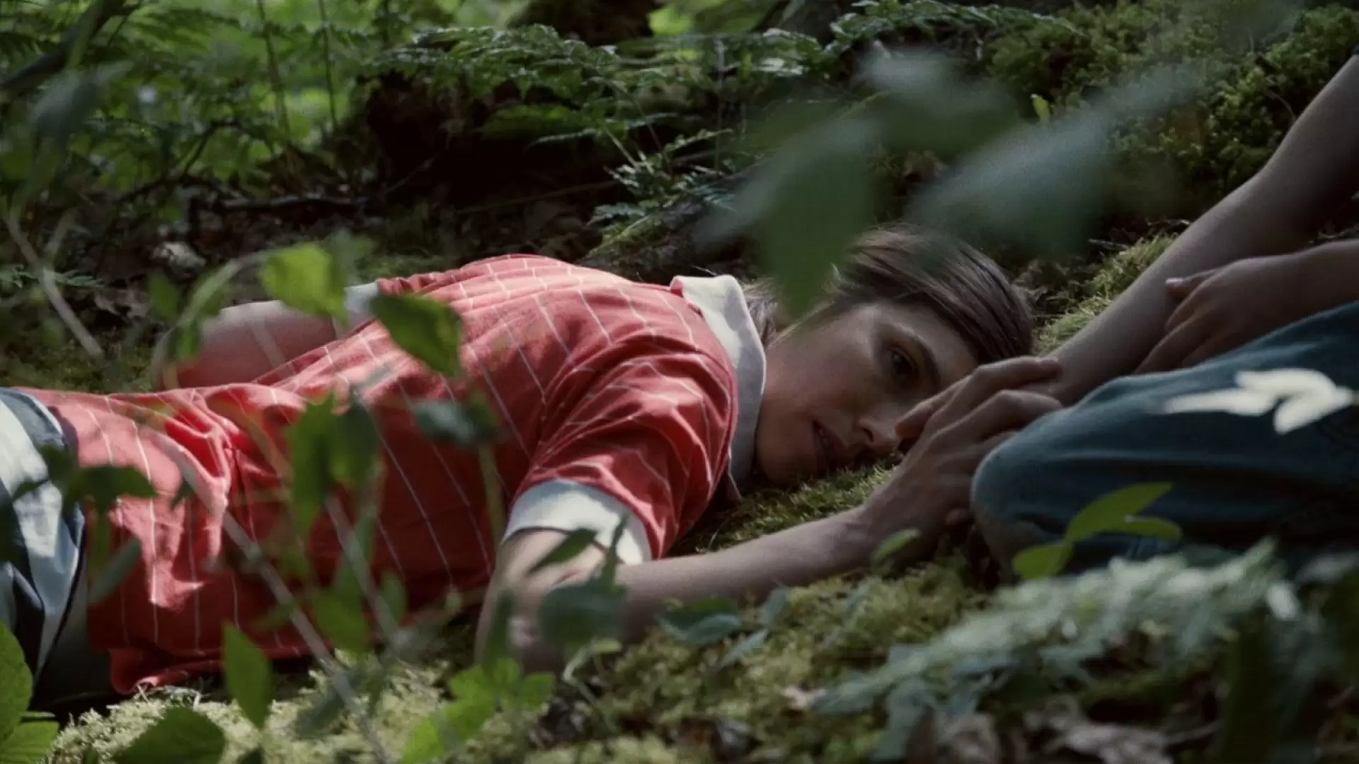 دانلود فیلم The Dreamed Path 2016 (مسیر رویایی)