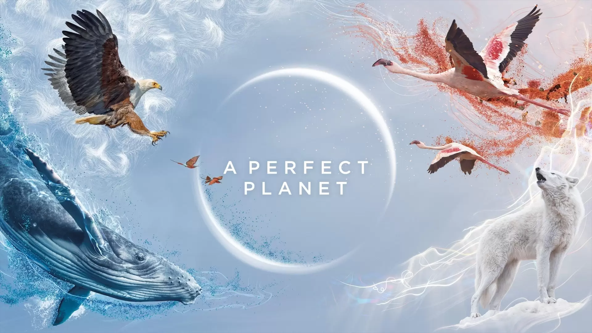 دانلود مستند Perfect Planet 2021 با زیرنویس فارسی و تماشای آنلاین