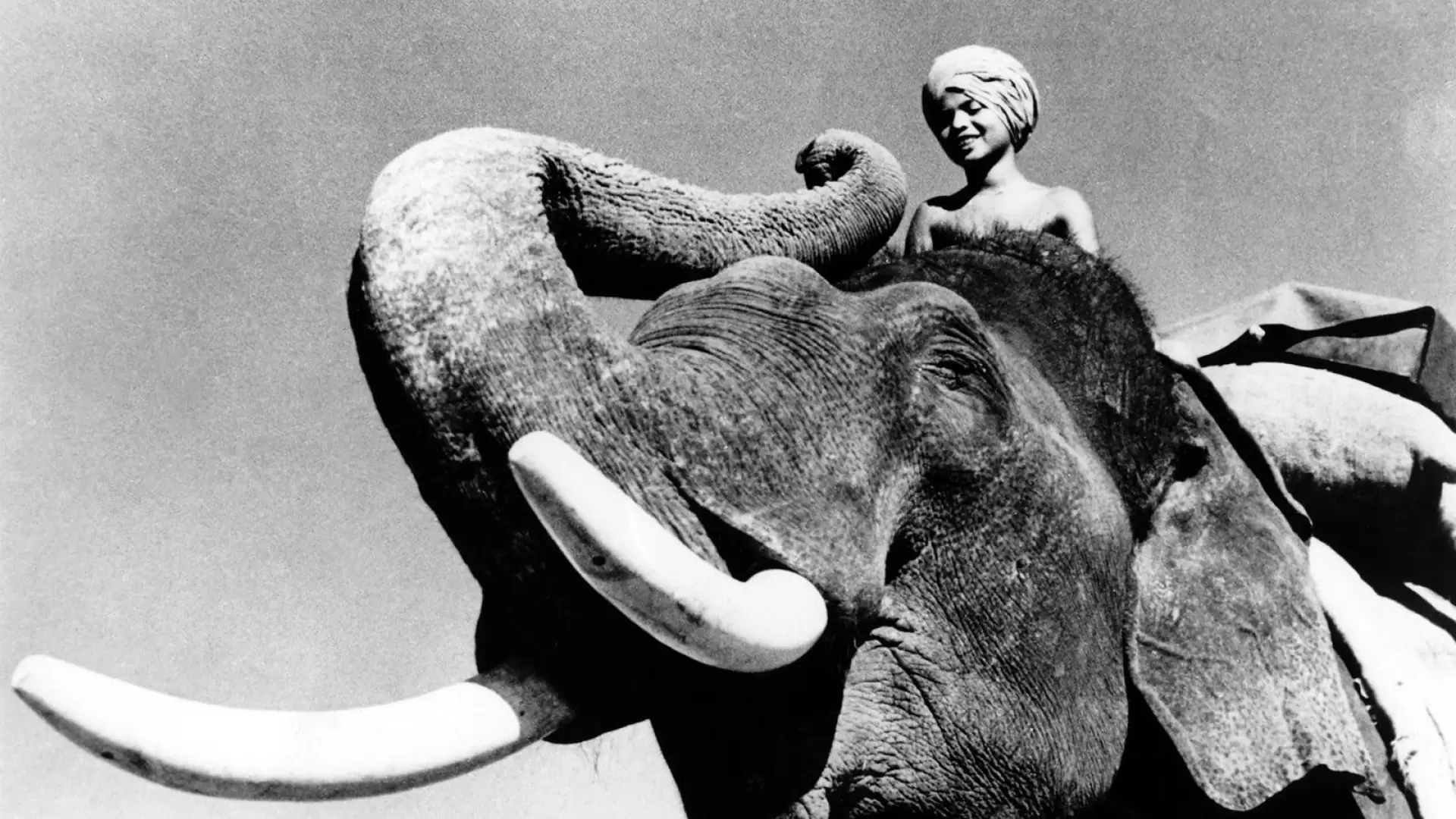 دانلود فیلم Elephant Boy 1937 (پسر فیلبان)