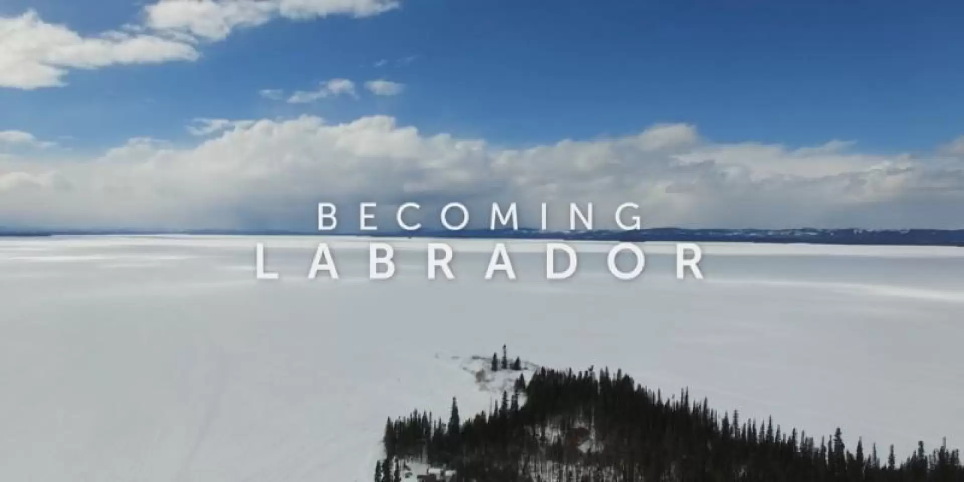 دانلود مستند Becoming Labrador 2019 (لابرادور شدن)