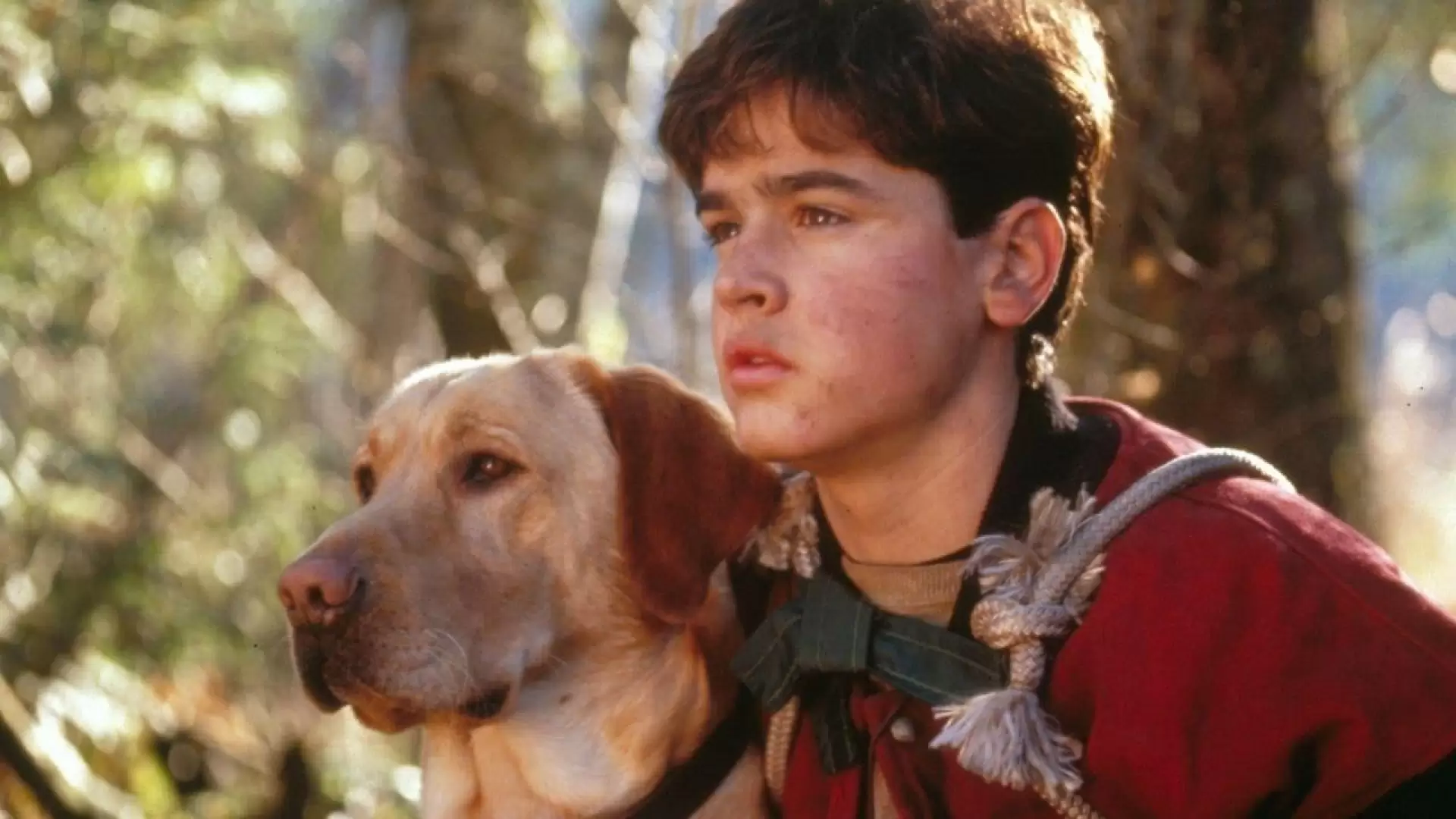 دانلود فیلم Far from Home: The Adventures of Yellow Dog 1995 (دور از خانه :ماجراجویی های سگ زرد)