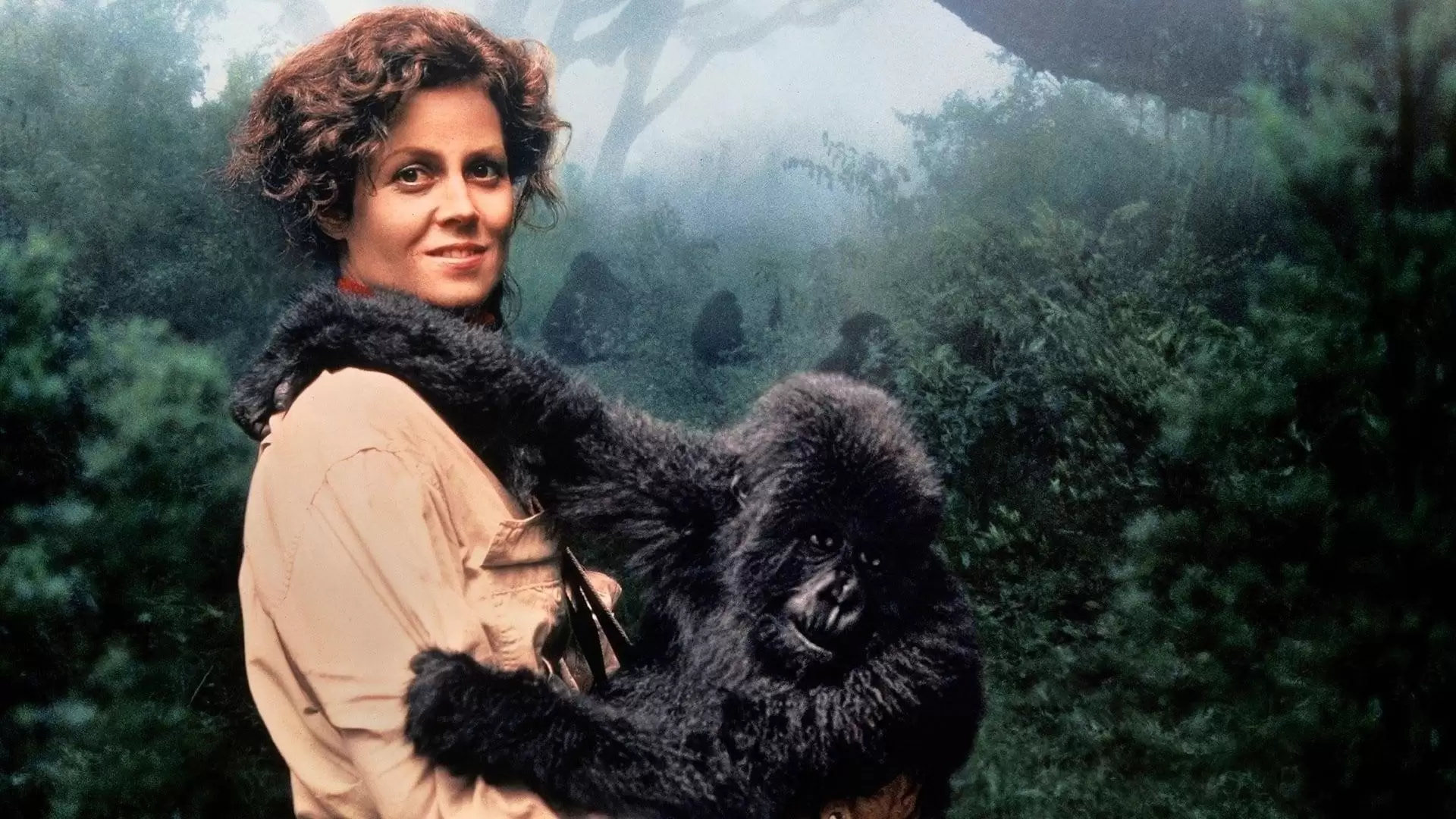 دانلود فیلم Gorillas in the Mist 1988 (گوریل‌ها در مه) با زیرنویس فارسی و تماشای آنلاین