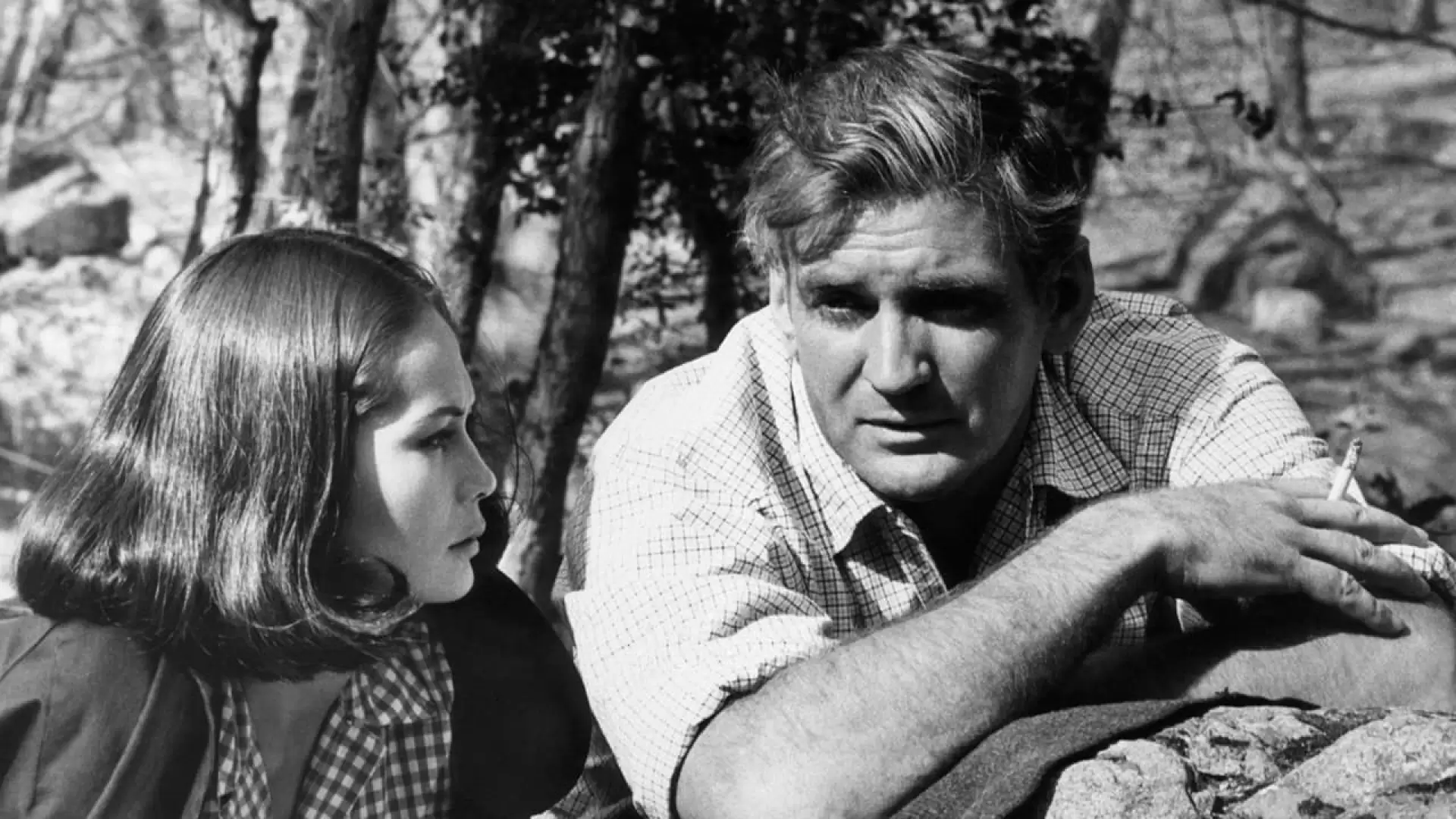 دانلود فیلم Fate Is the Hunter 1964 (سرنوشت شکارچی)