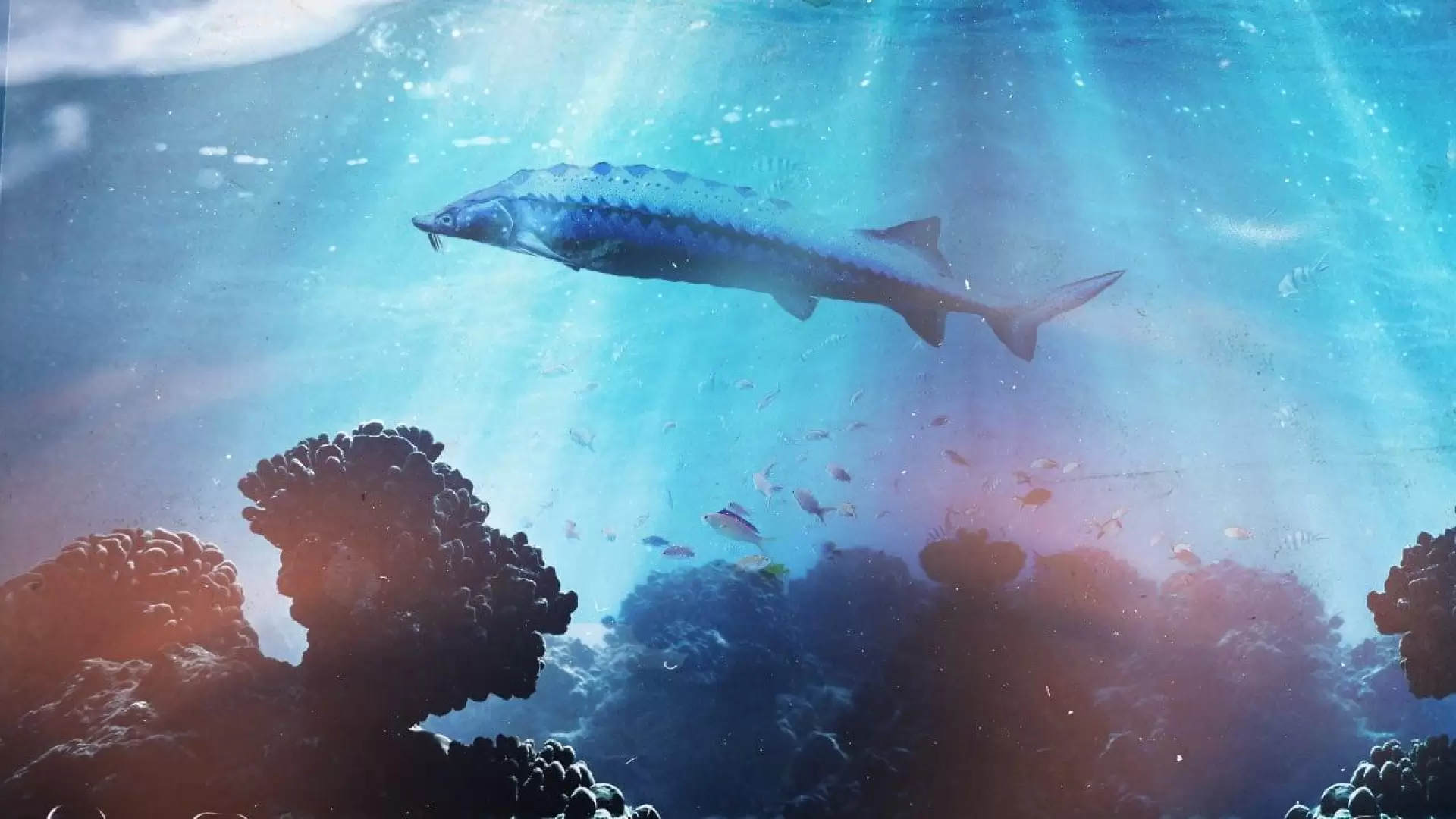 دانلود مستند Saving the Dinosaur Fish 2020 (نجات ماهی دایناسور)