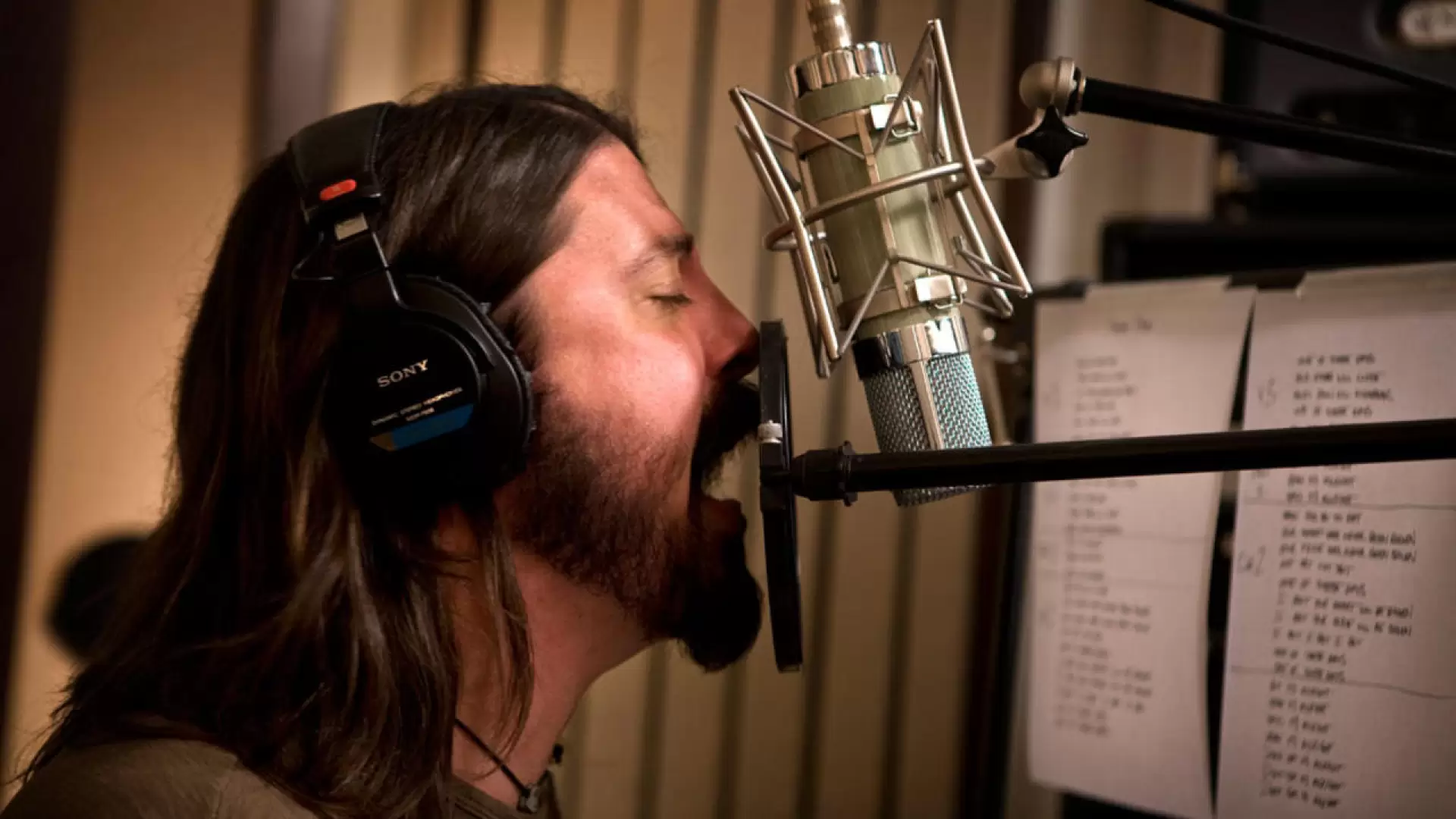دانلود مستند Foo Fighters: Back and Forth 2011 (فو فایترز: فراز و نشیب)