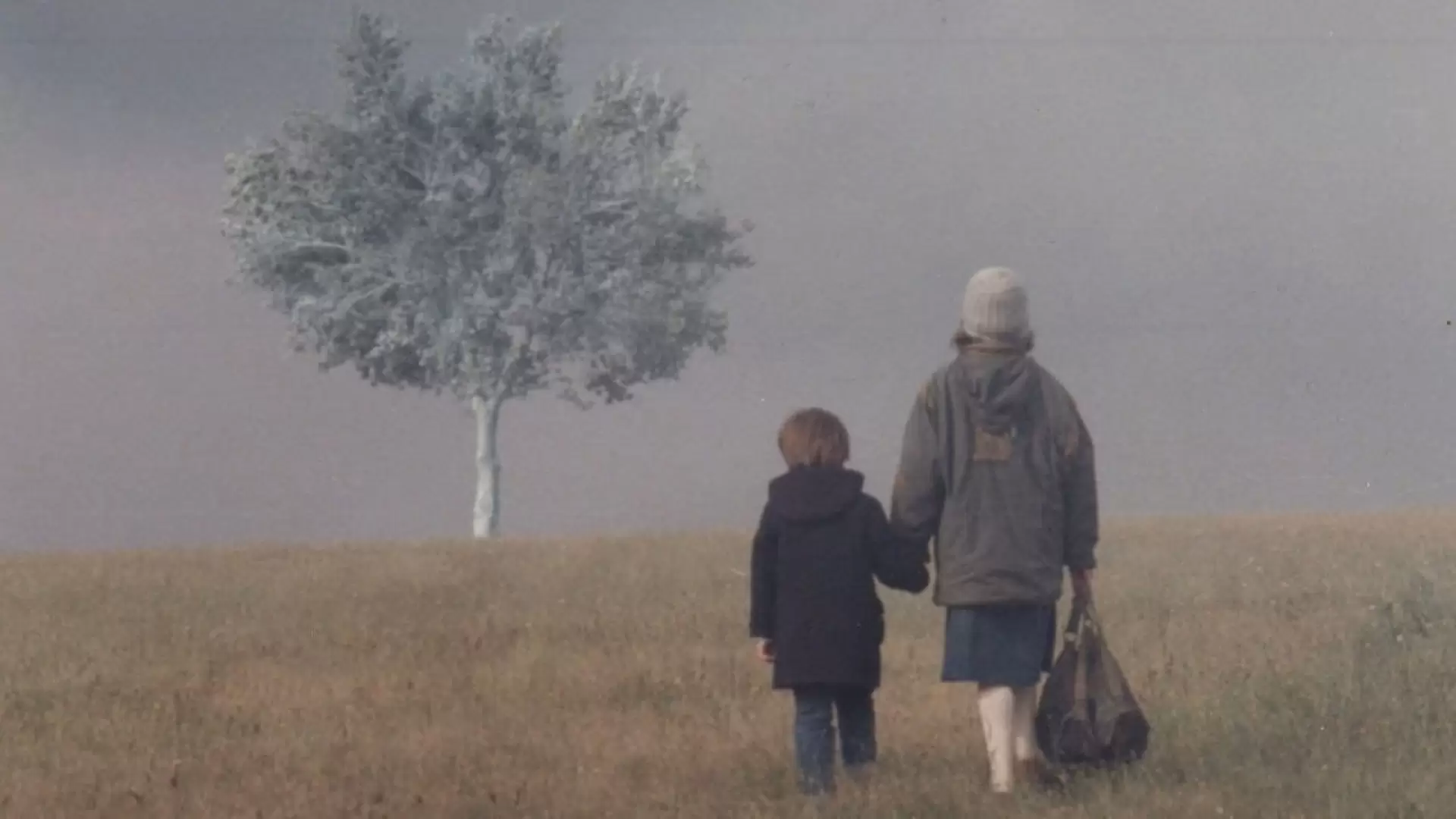 دانلود فیلم Landscape in the Mist 1988 (چشم اندازی در مه) با زیرنویس فارسی و تماشای آنلاین