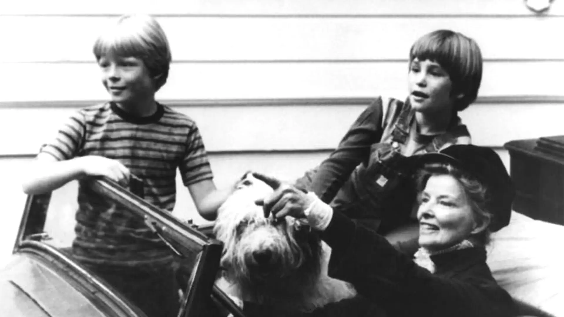 دانلود فیلم Olly, Olly, Oxen Free 1978