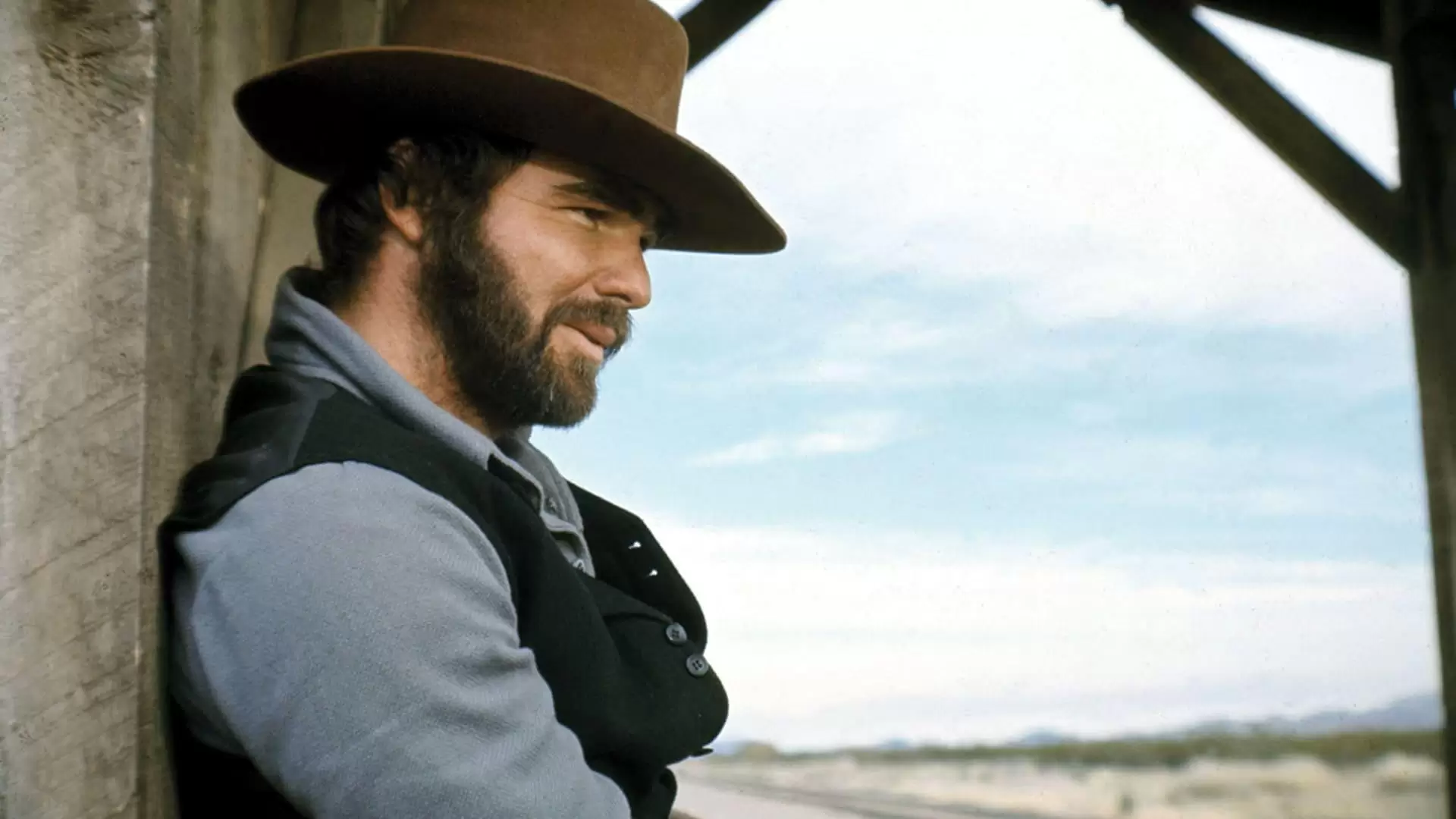 دانلود فیلم The Man Who Loved Cat Dancing 1973