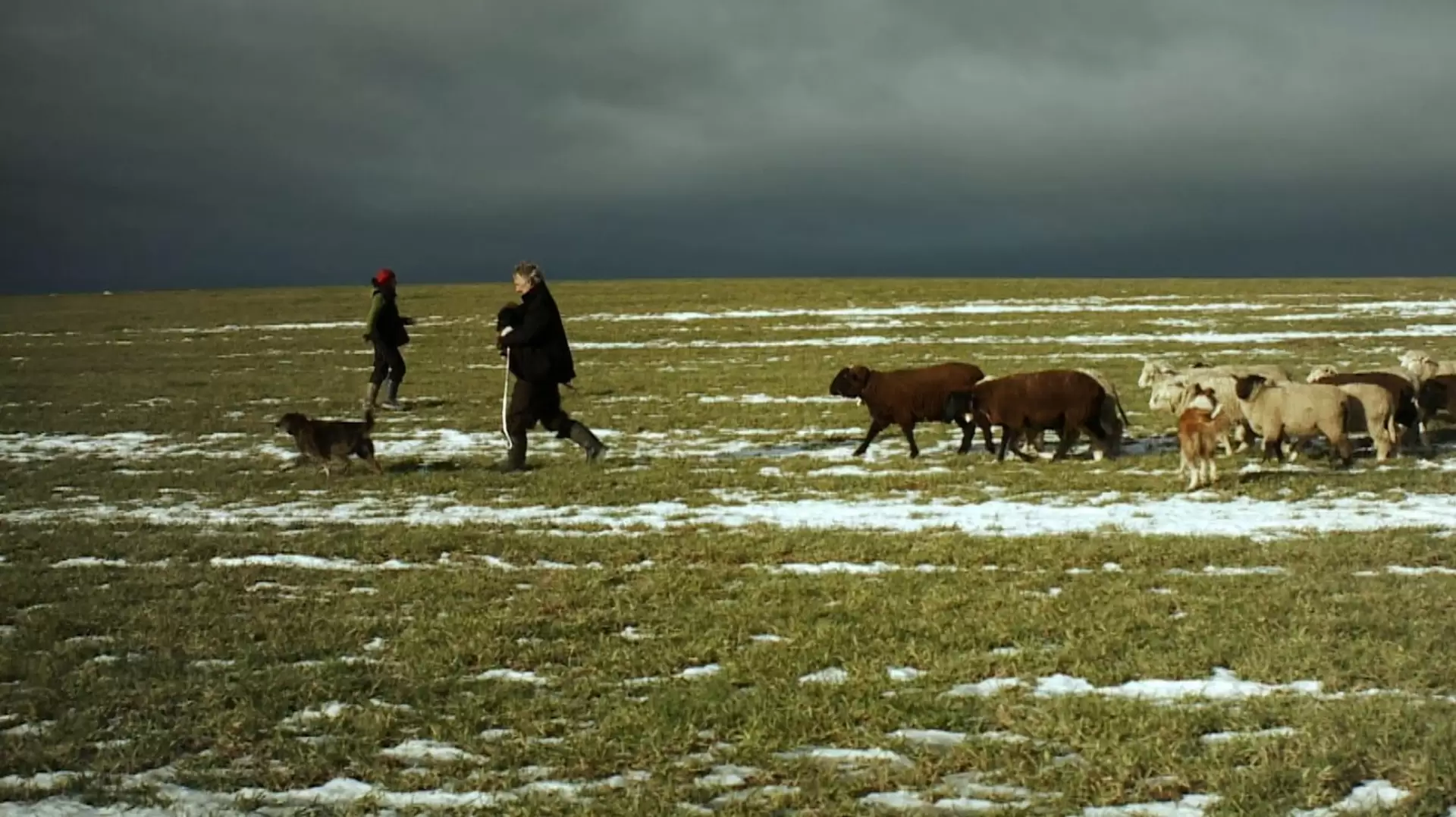 دانلود مستند Winter Nomads 2012 (کوچ زمستانی عشایر)